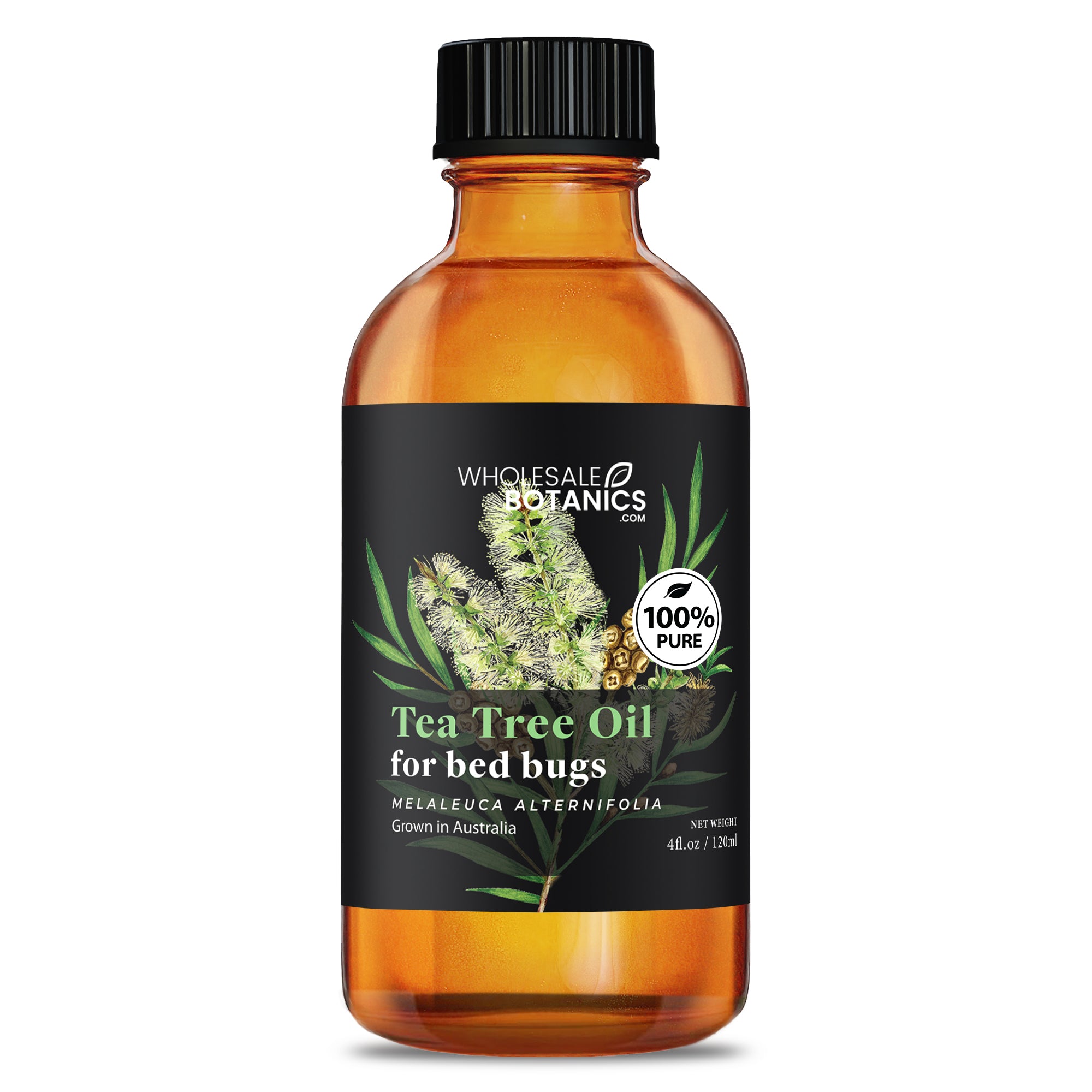 Tea Tree Oil for Bed Bugs