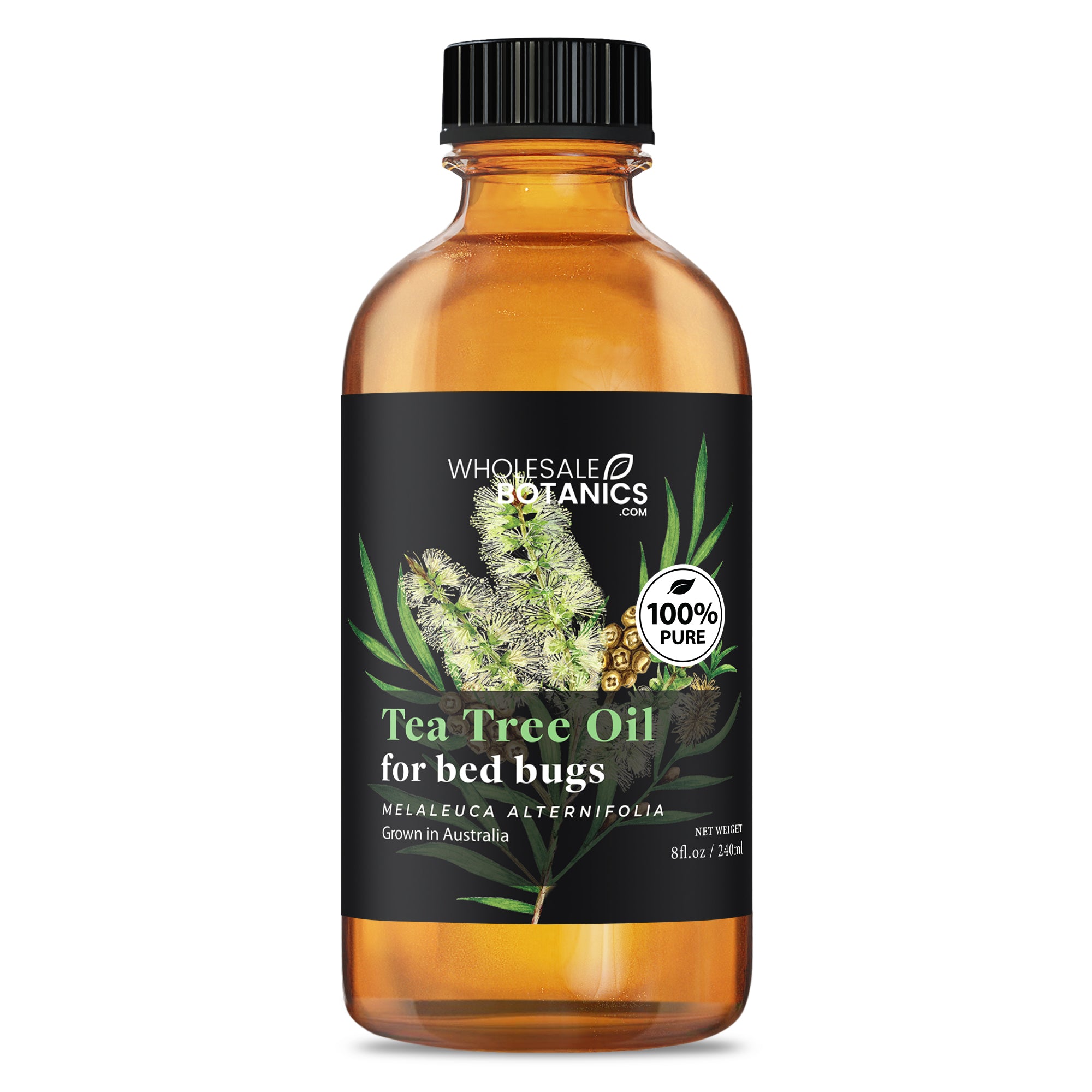 Tea Tree Oil for Bed Bugs