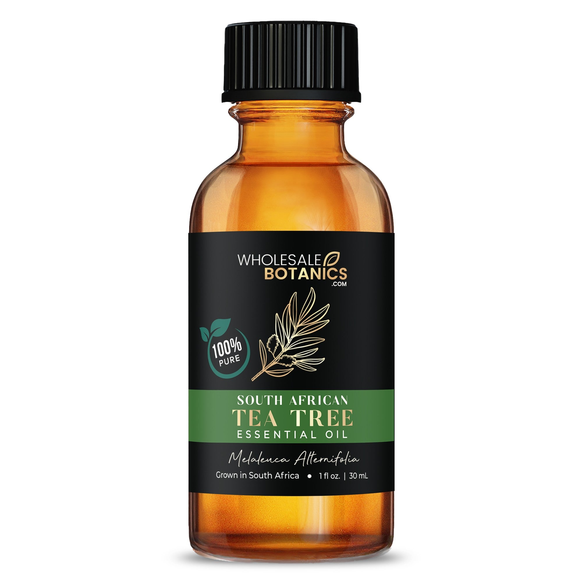 Tea Tree Essential Oil - South Africa