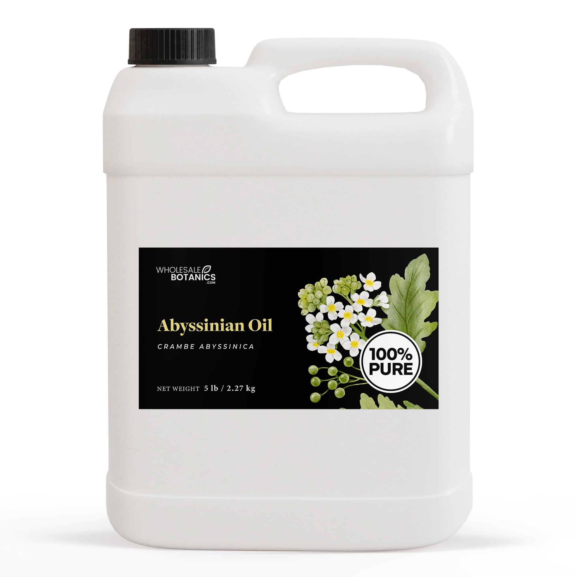 Abyssinian Oil