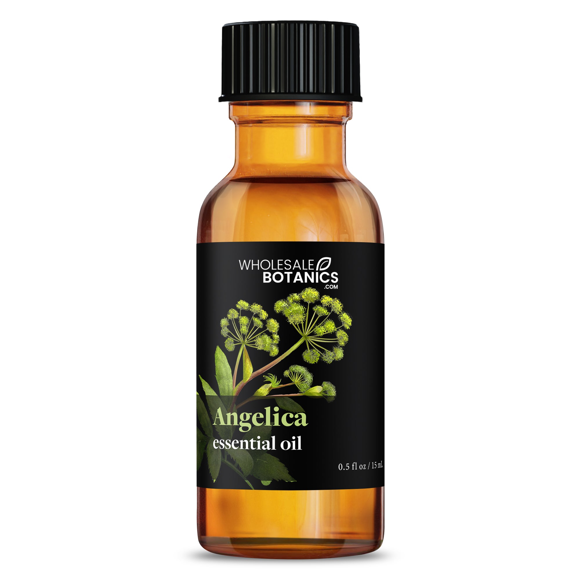 Angelica Essential Oil