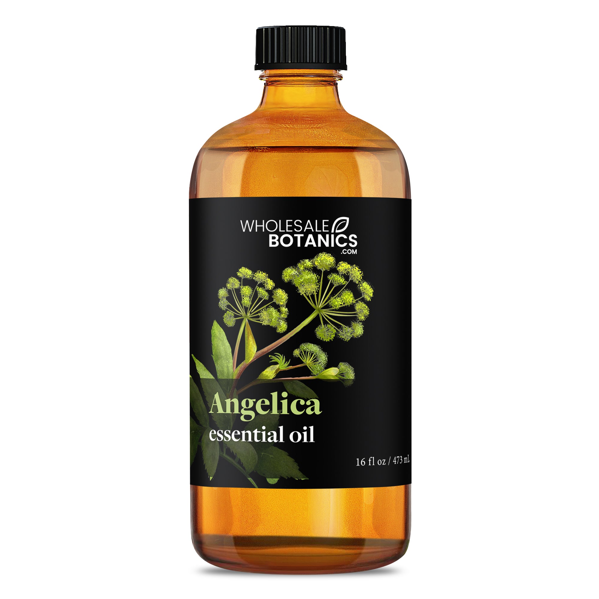 Angelica Essential Oil