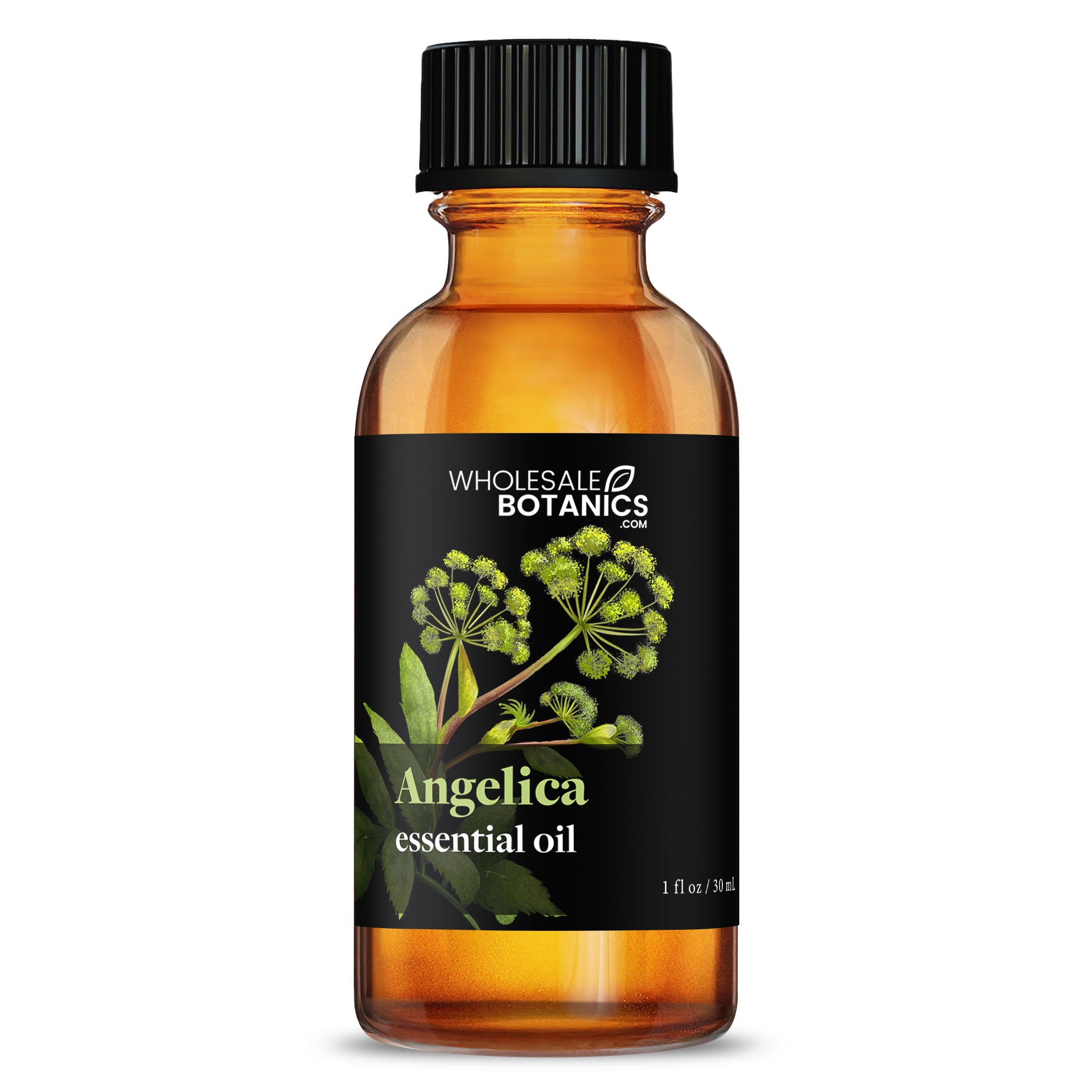 Angelica Essential Oil