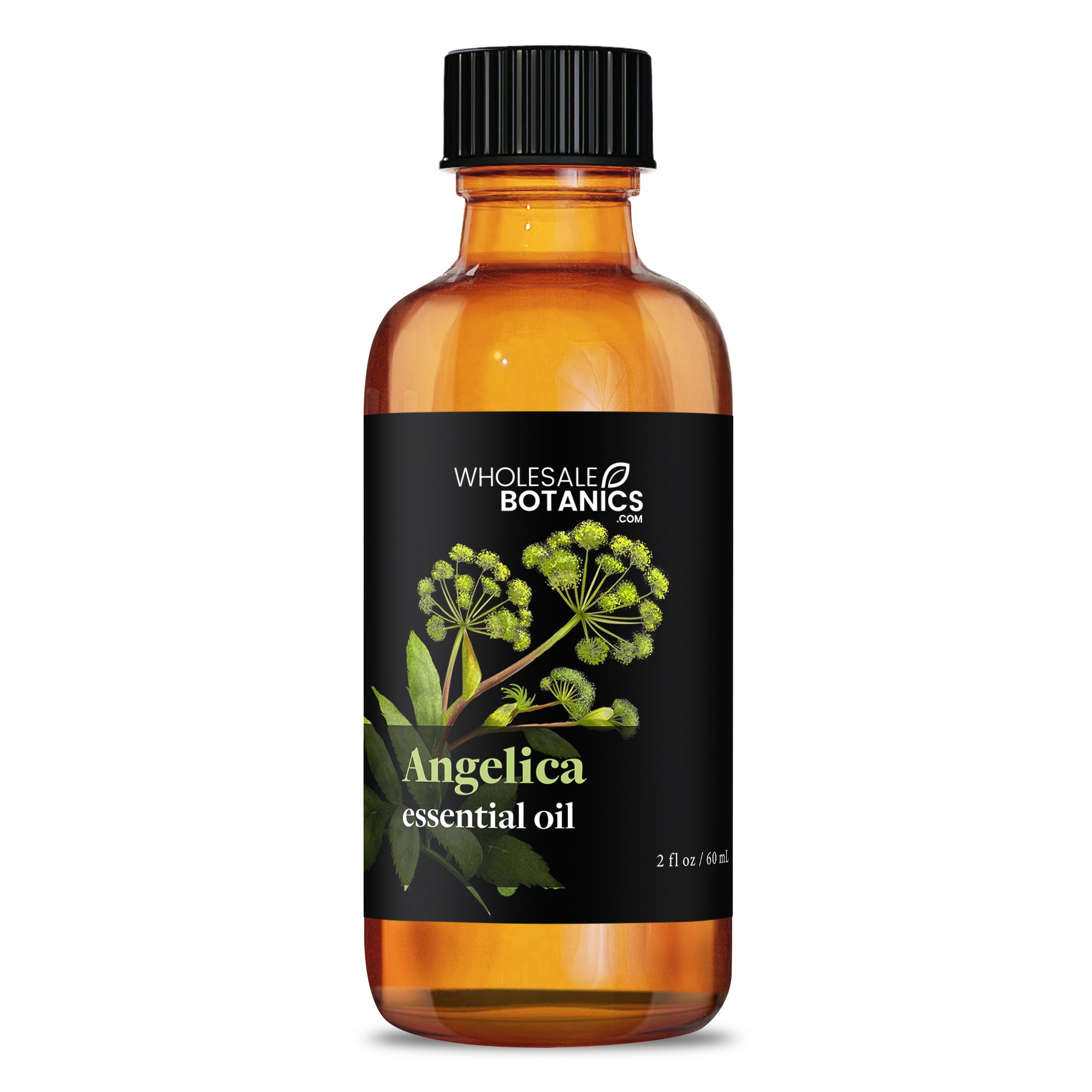Angelica Essential Oil