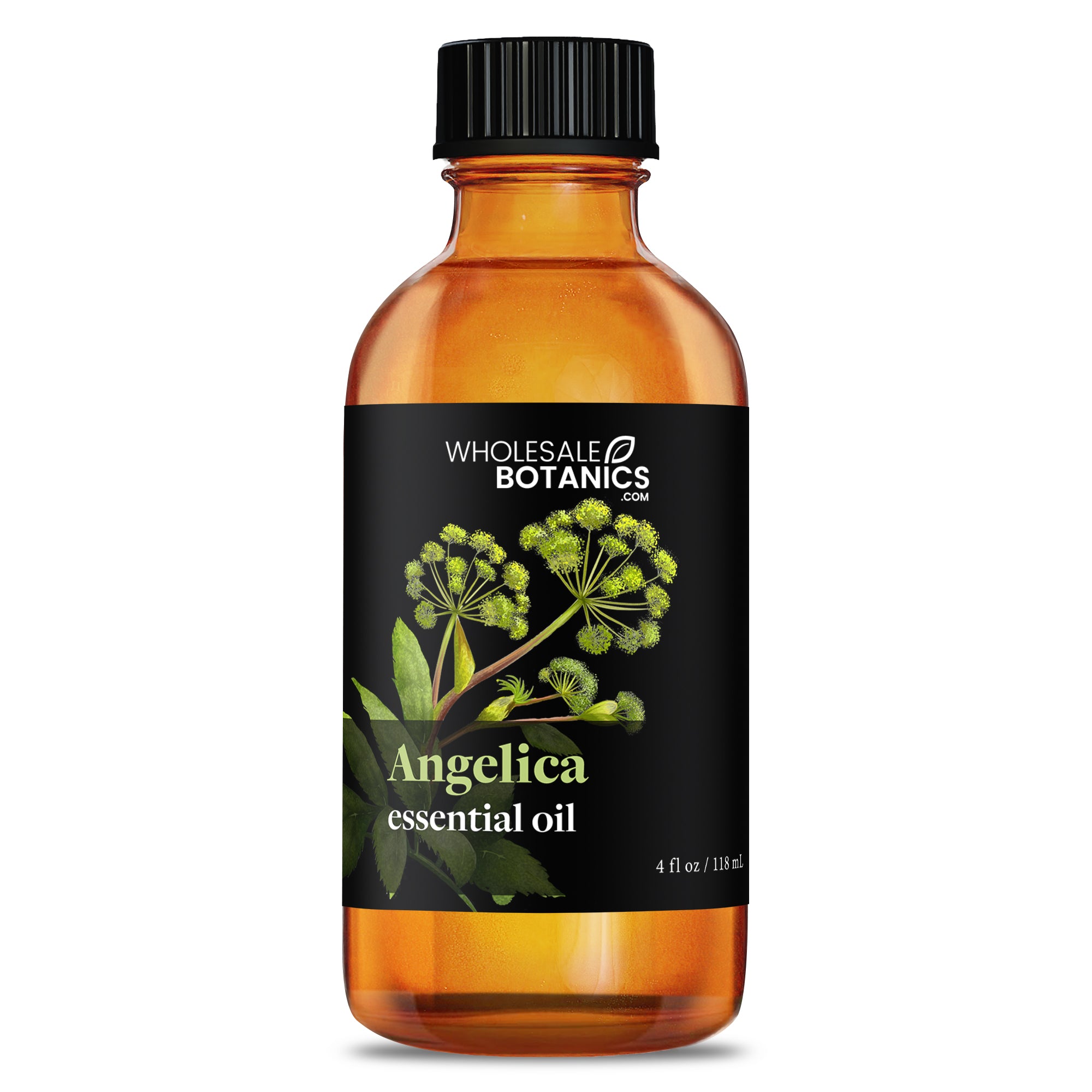 Angelica Essential Oil