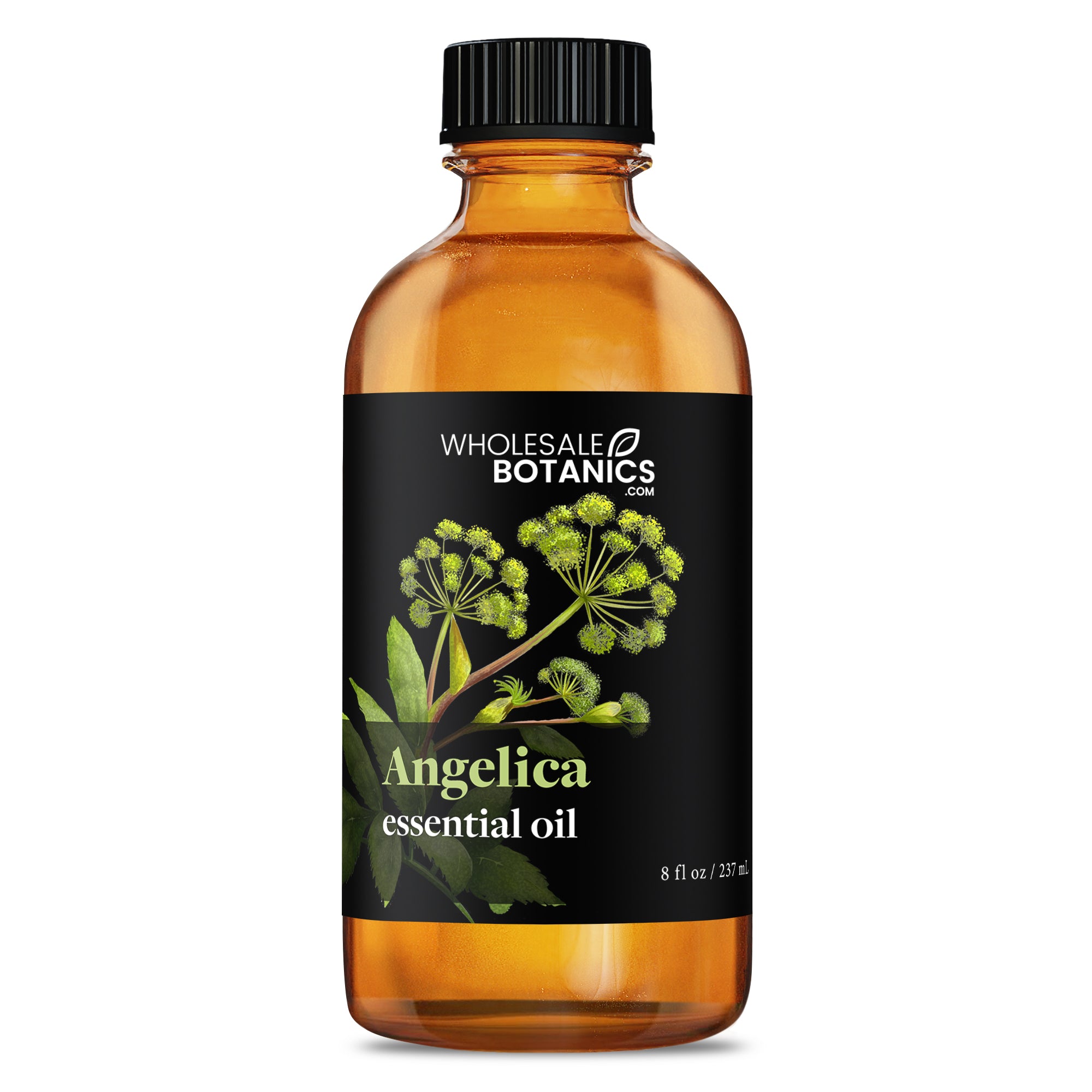 Angelica Essential Oil