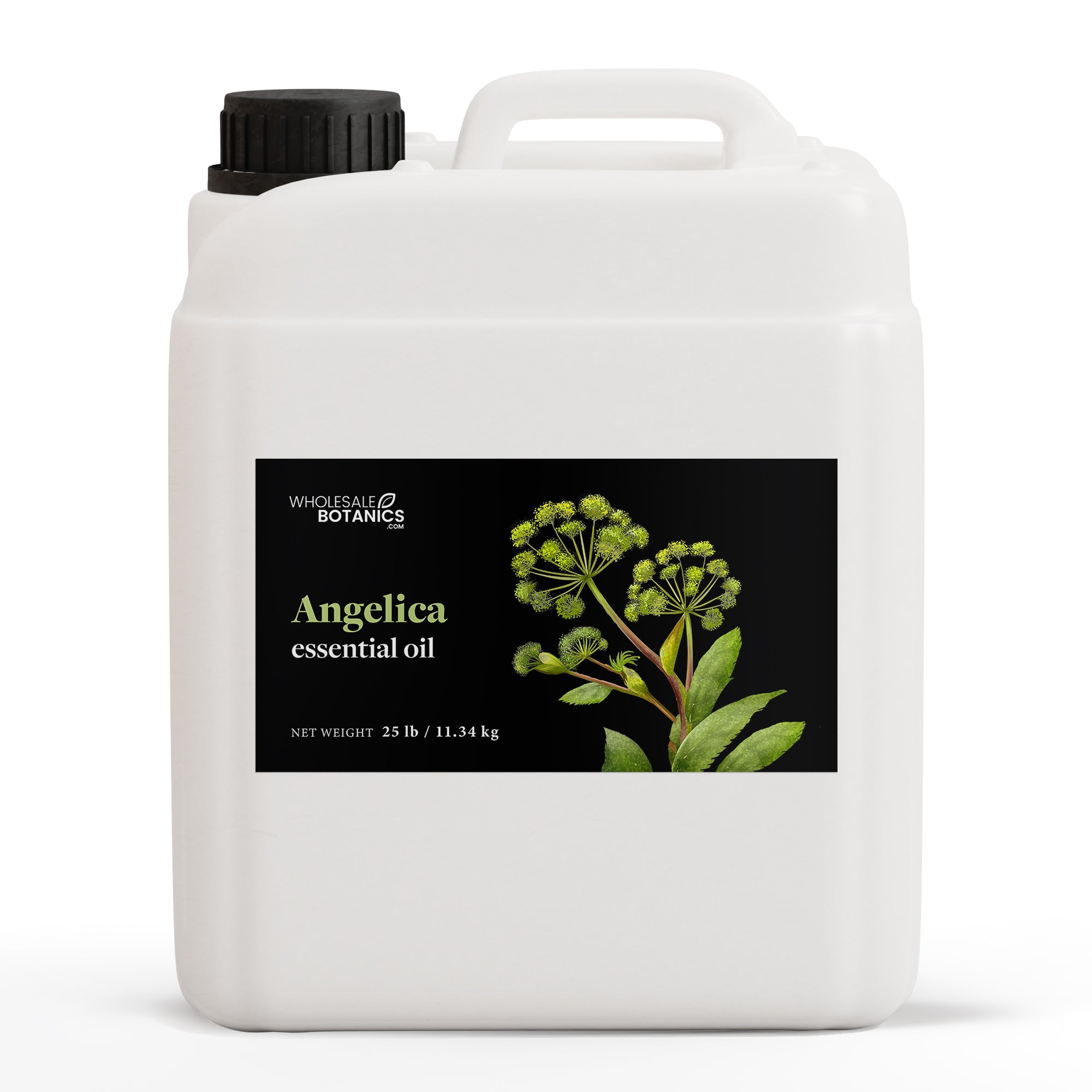 Angelica Essential Oil