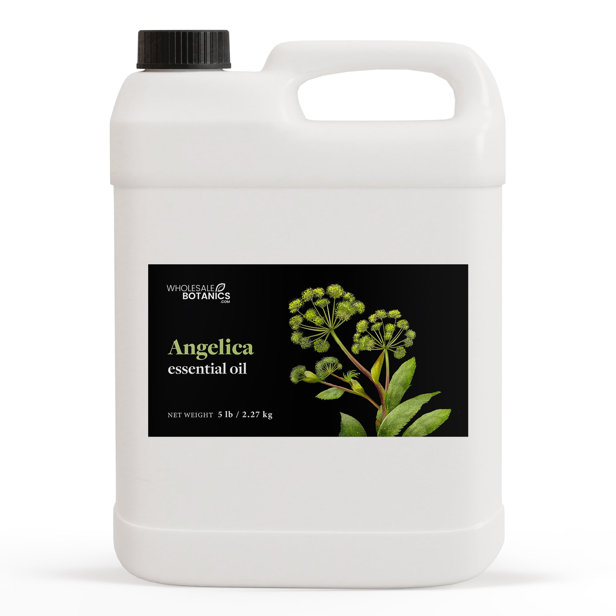 Angelica Essential Oil