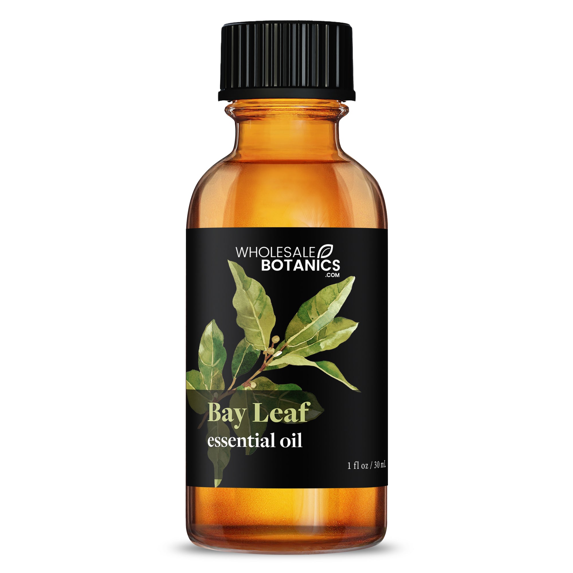 Bay Leaf Essential Oil