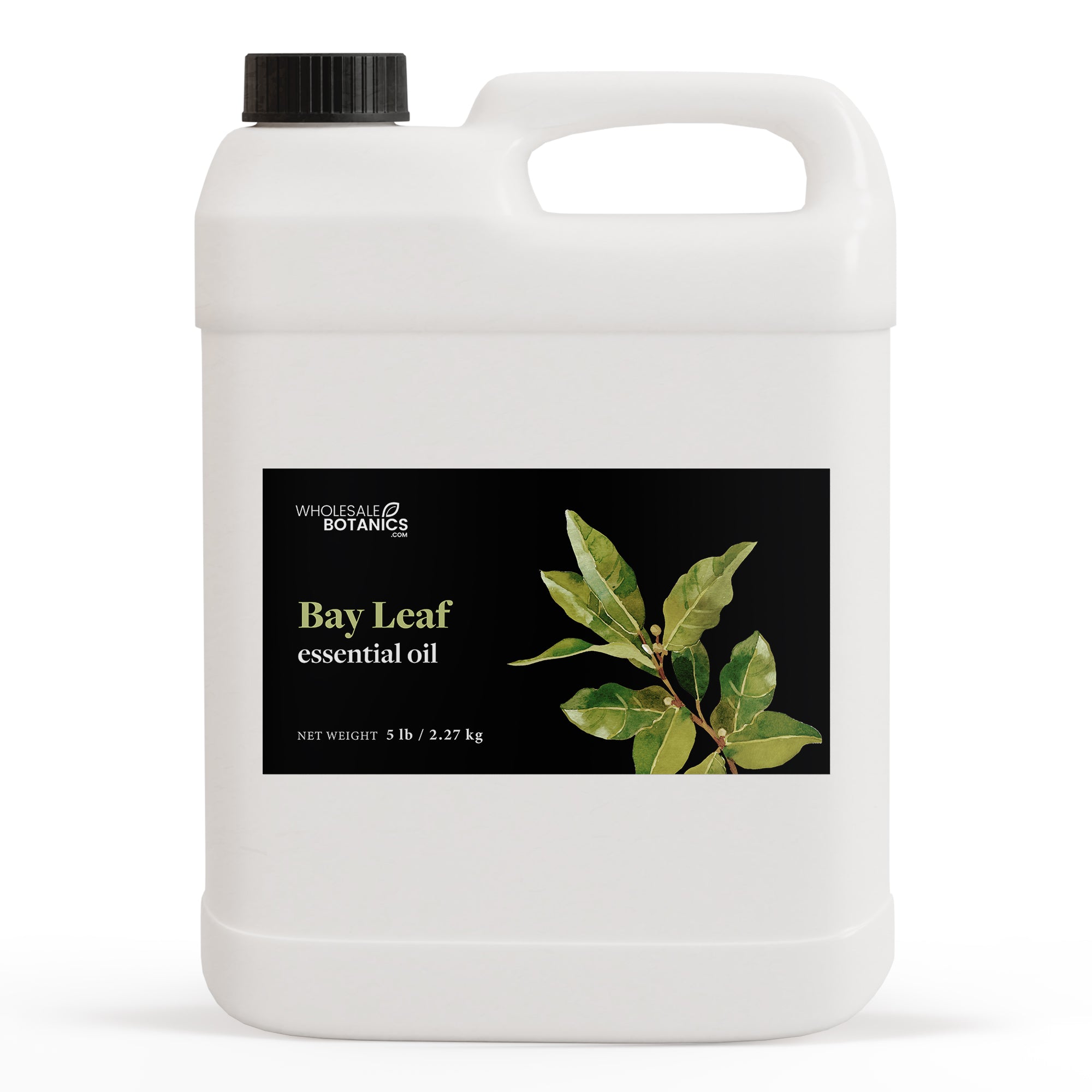 Bay Leaf Essential Oil