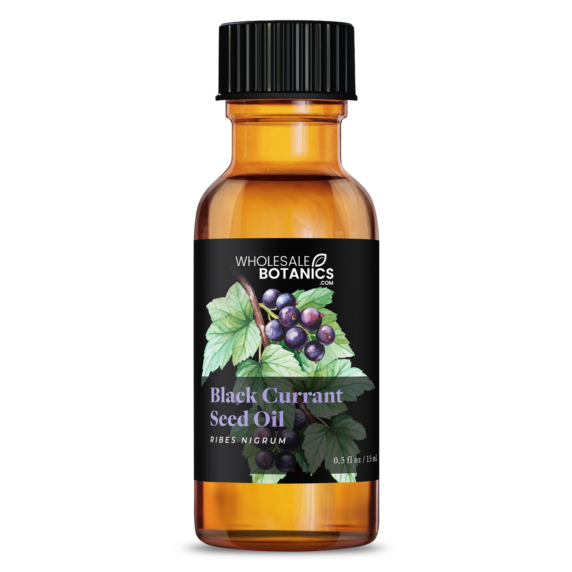 Black Currant Seed Oil