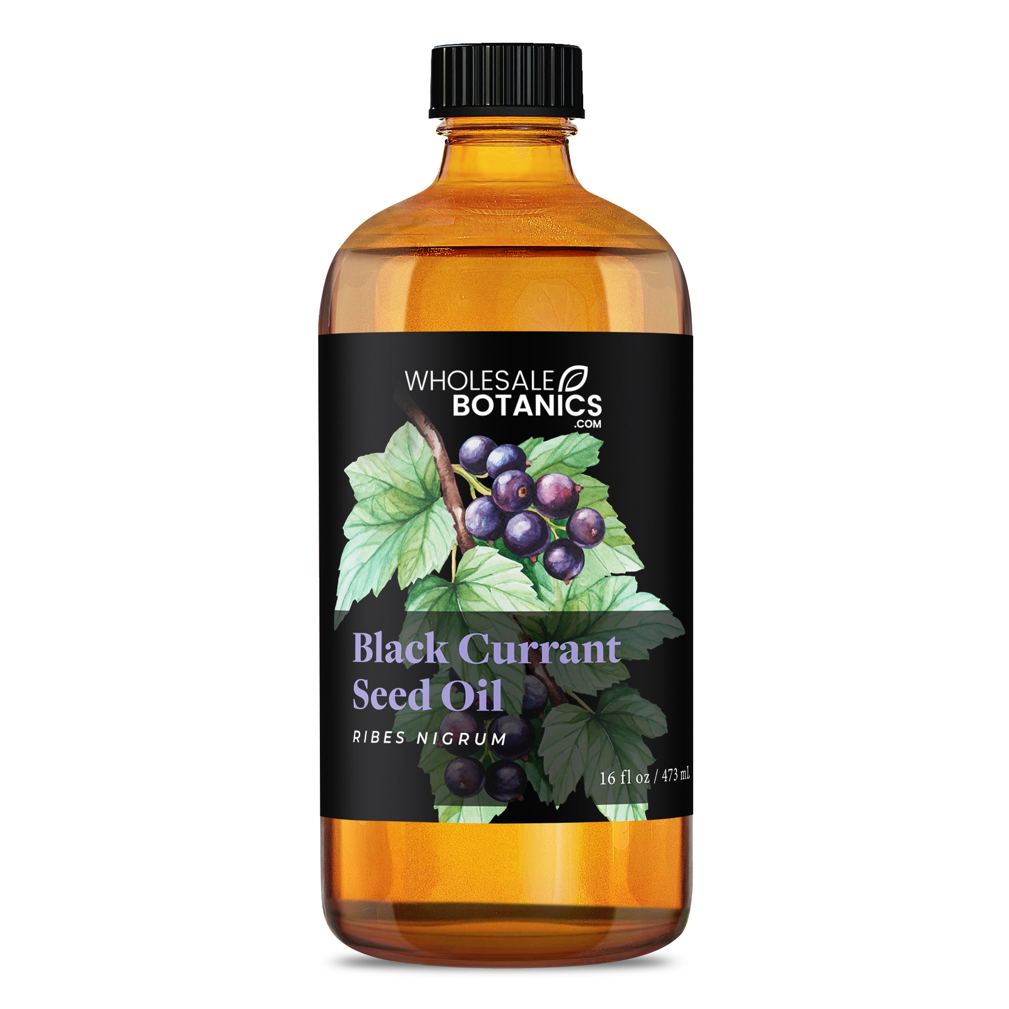Black Currant Seed Oil
