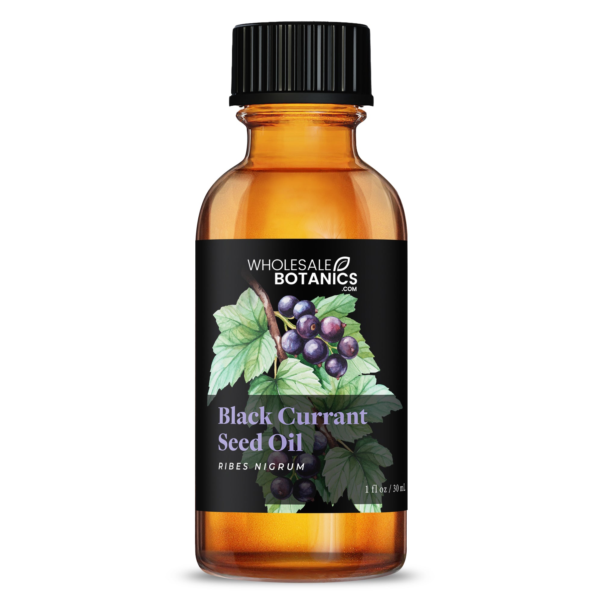 Black Currant Seed Oil