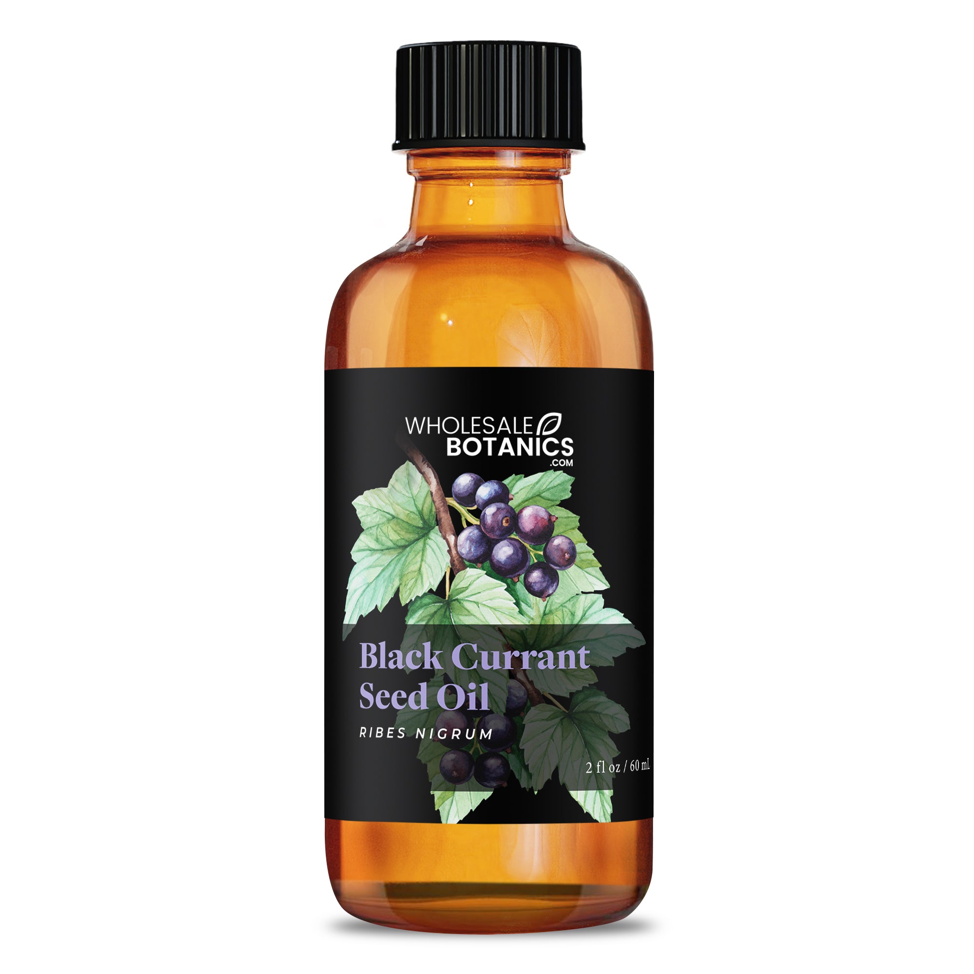 Black Currant Seed Oil