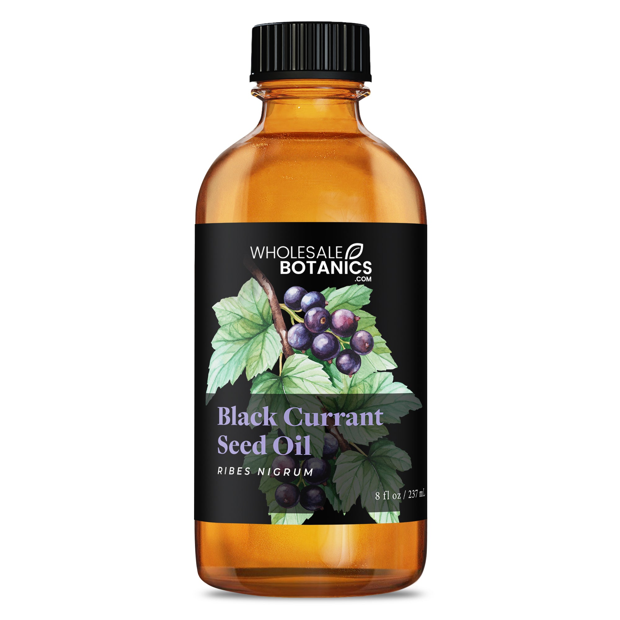 Black Currant Seed Oil