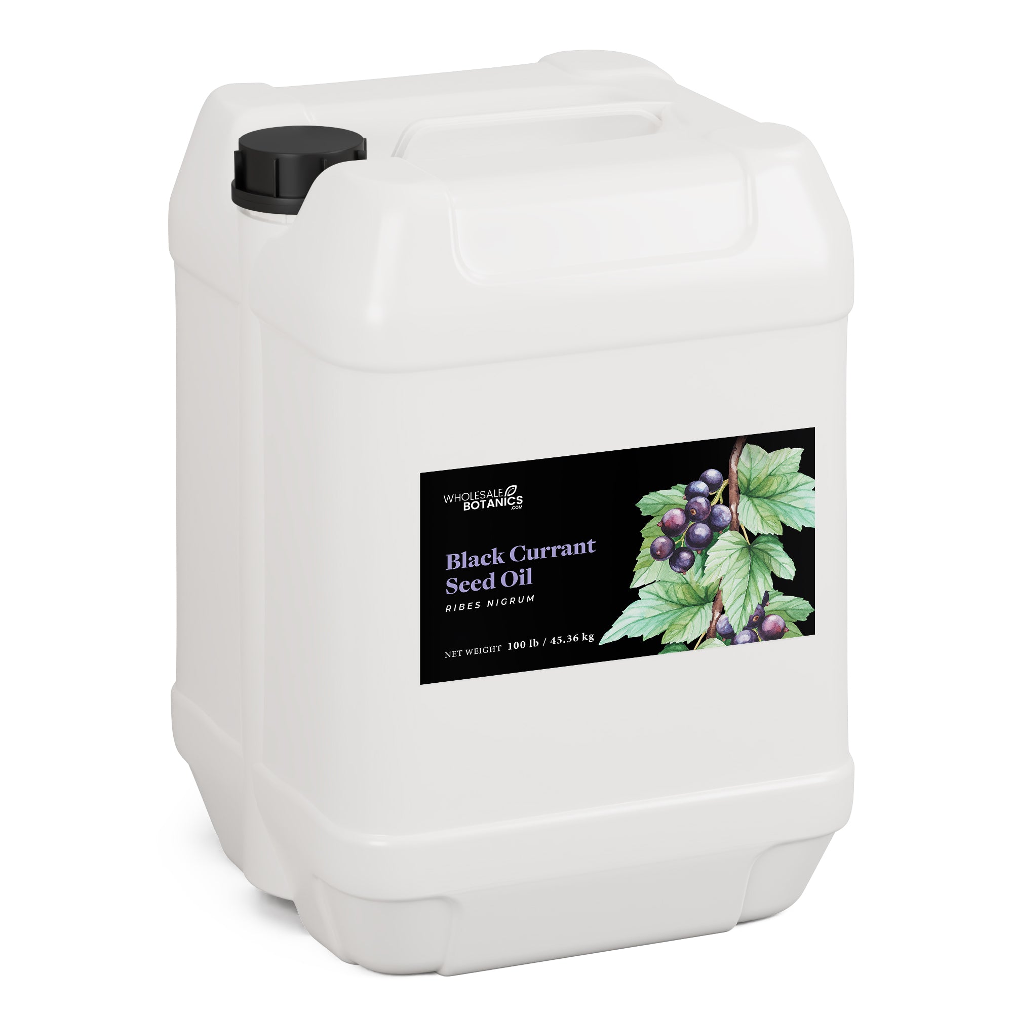 Black Currant Seed Oil