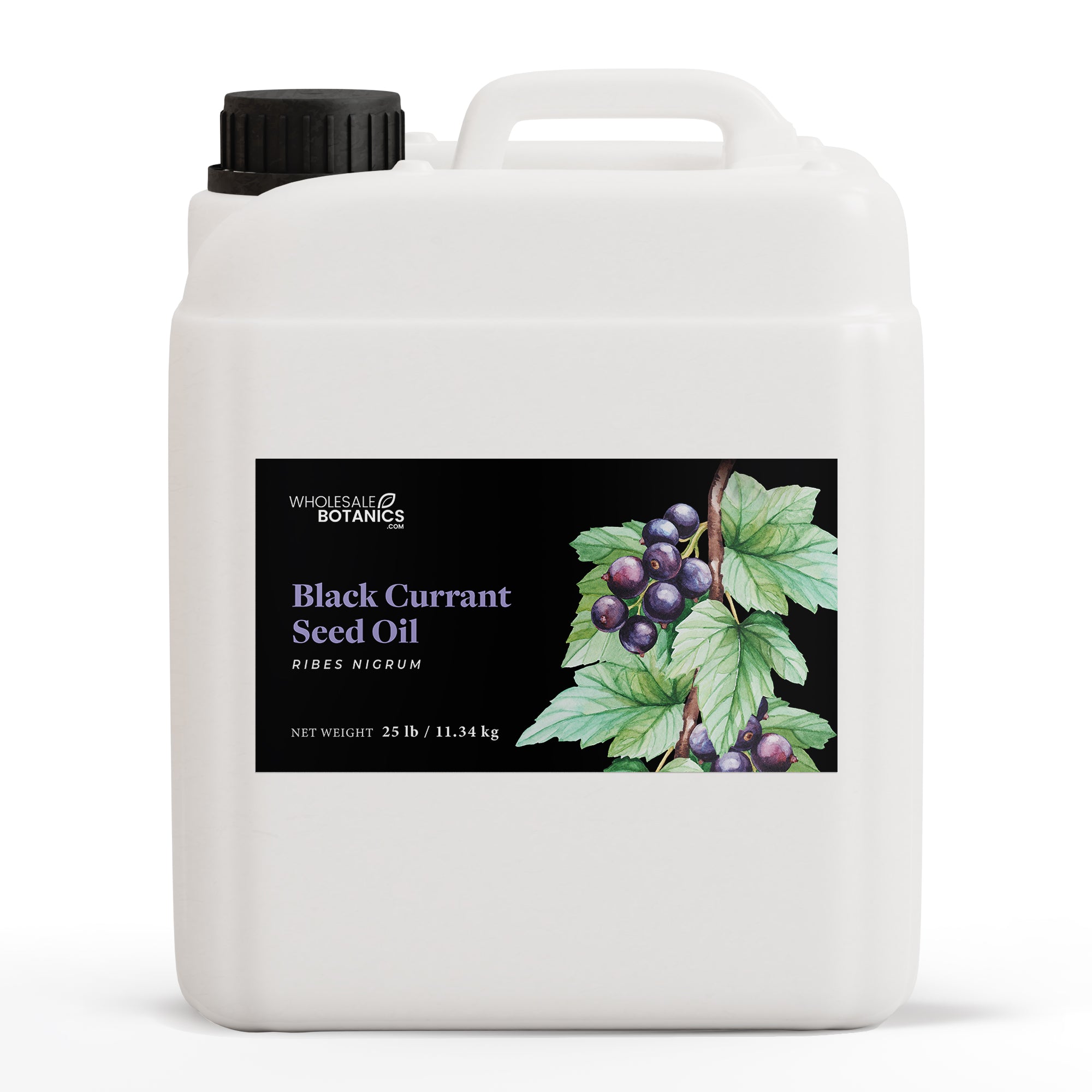 Black Currant Seed Oil