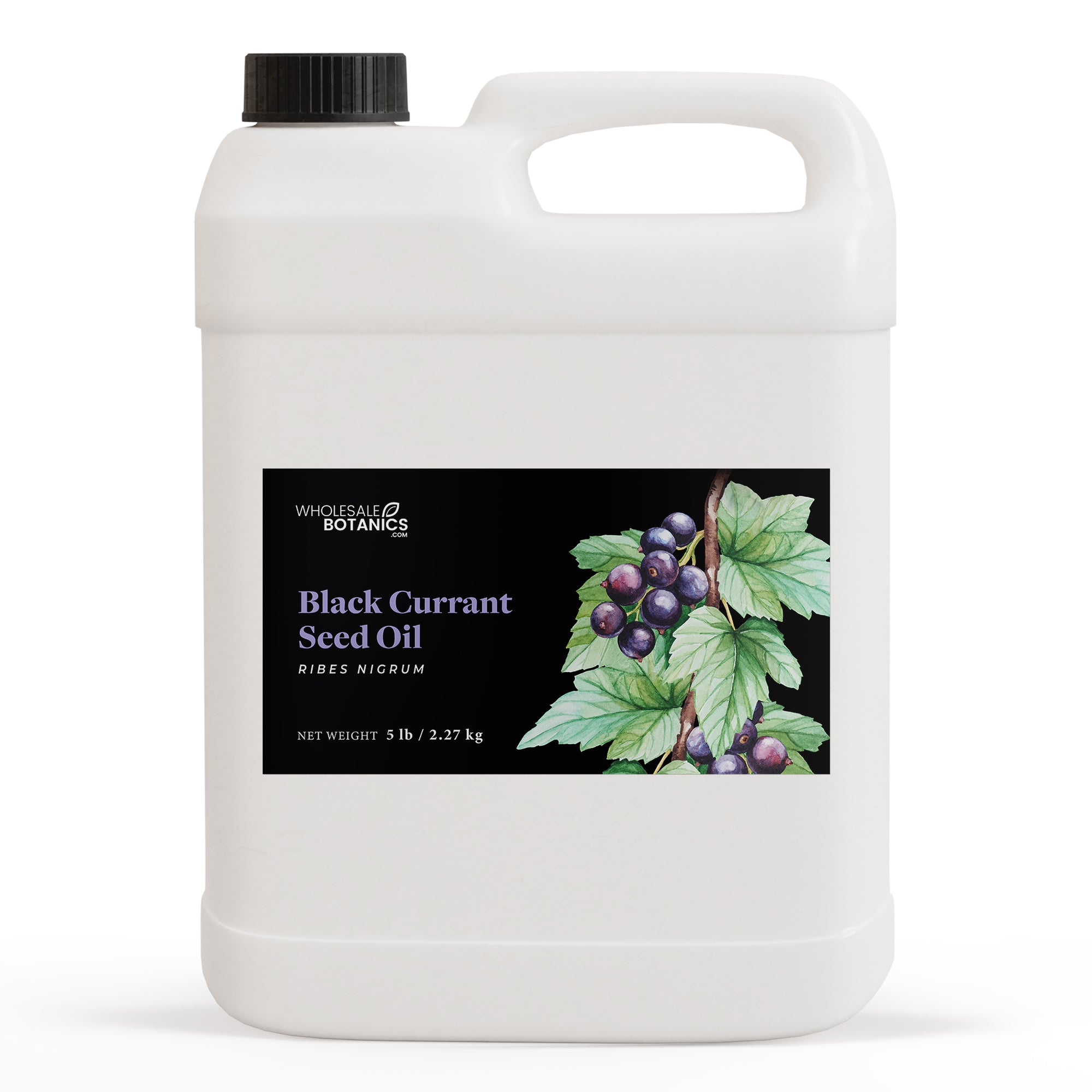 Black Currant Seed Oil