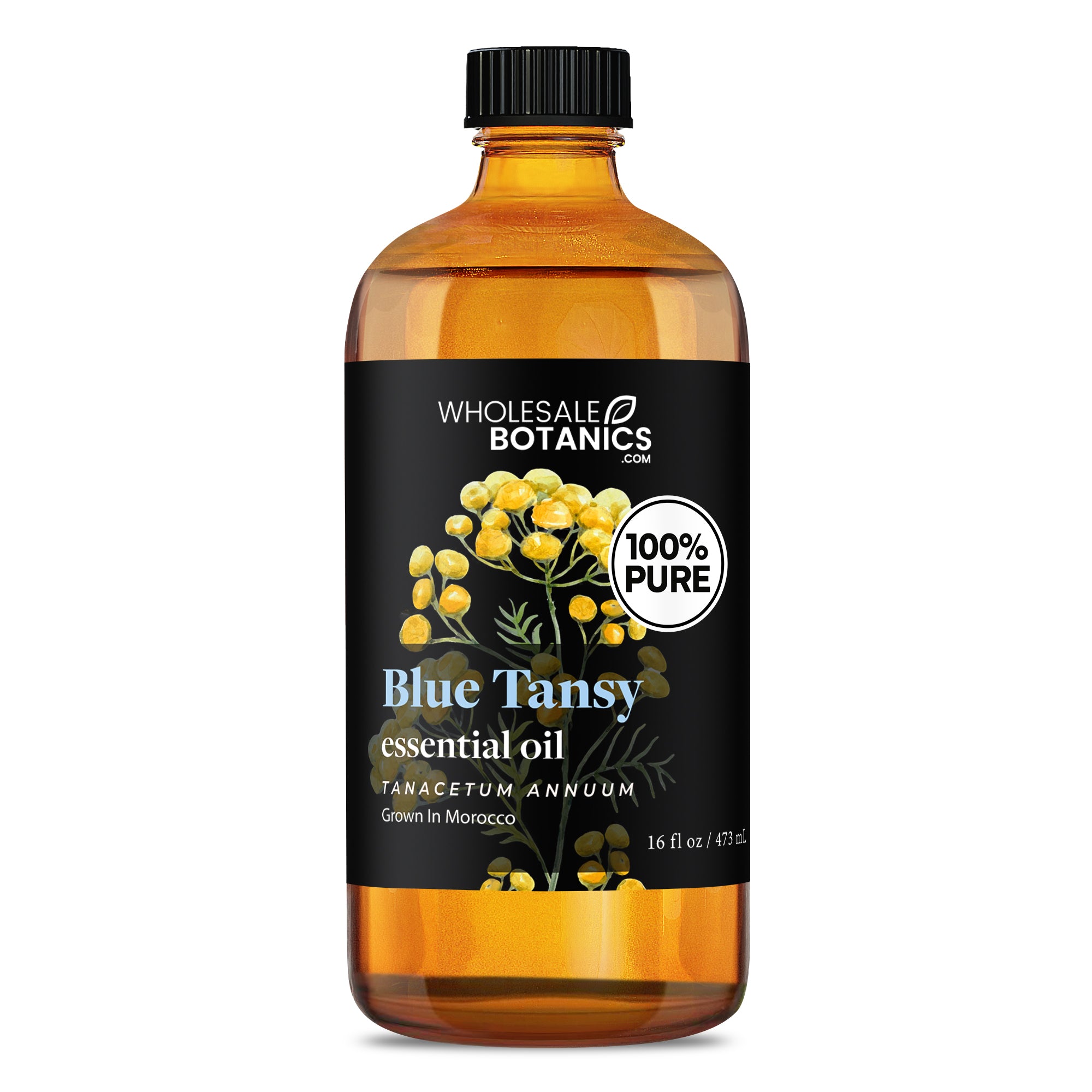 Blue Tansy Essential Oil - Purity