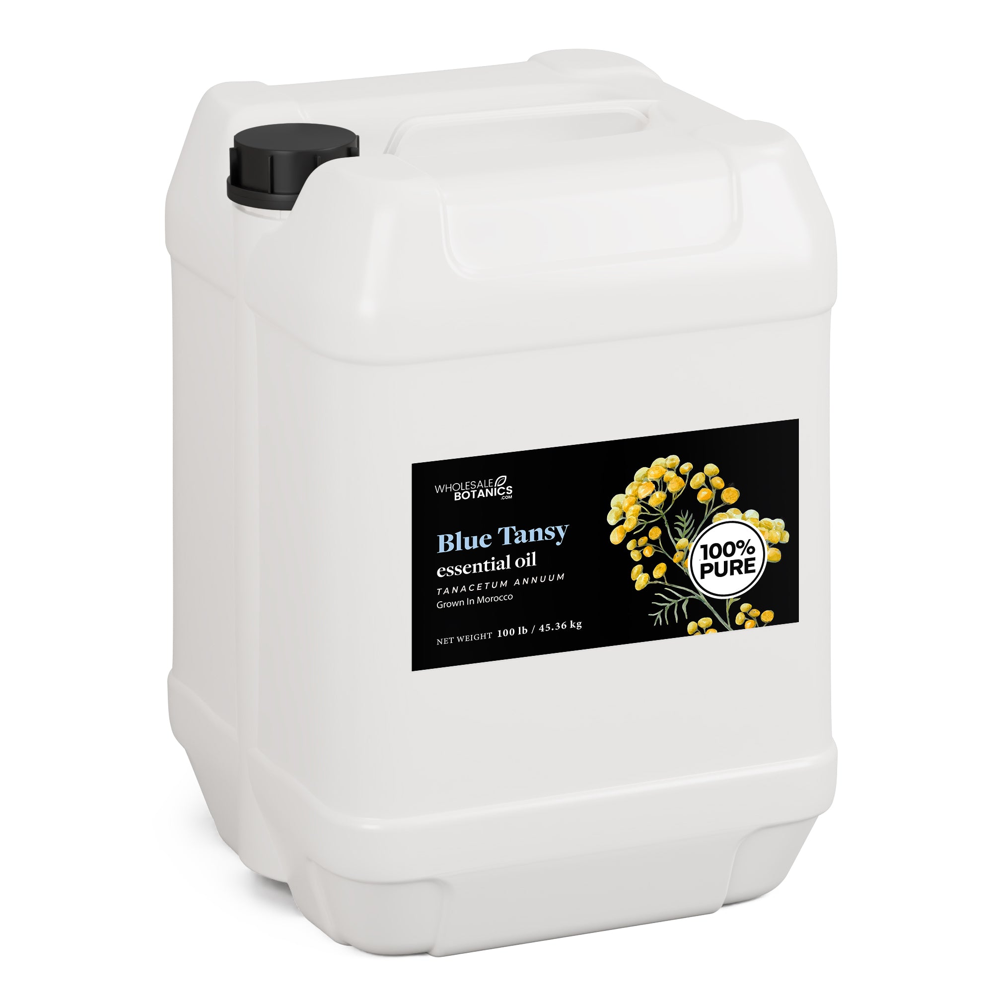 Blue Tansy Essential Oil - Purity