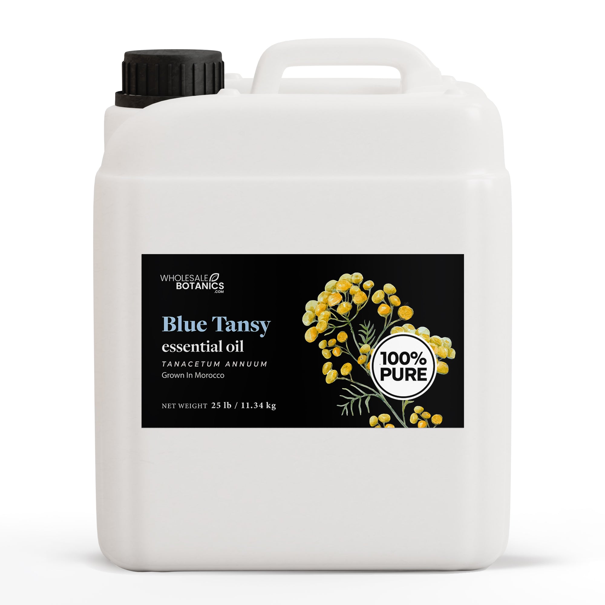 Blue Tansy Essential Oil - Purity