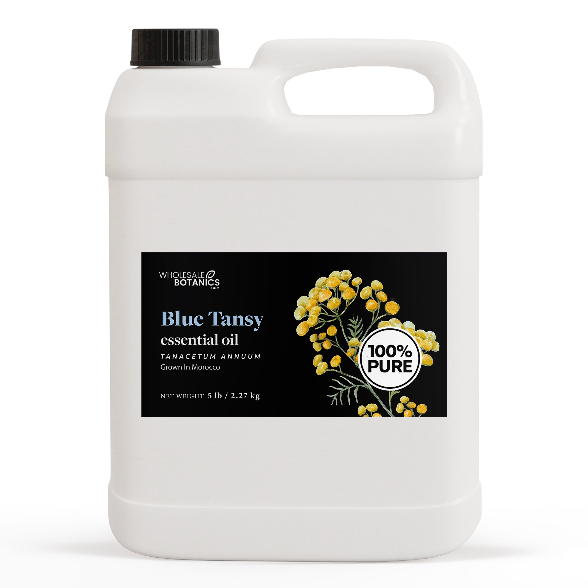 Blue Tansy Essential Oil - Purity