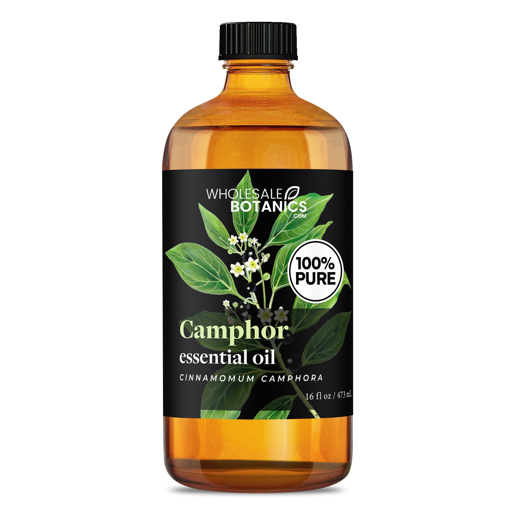 Camphor Essential Oil