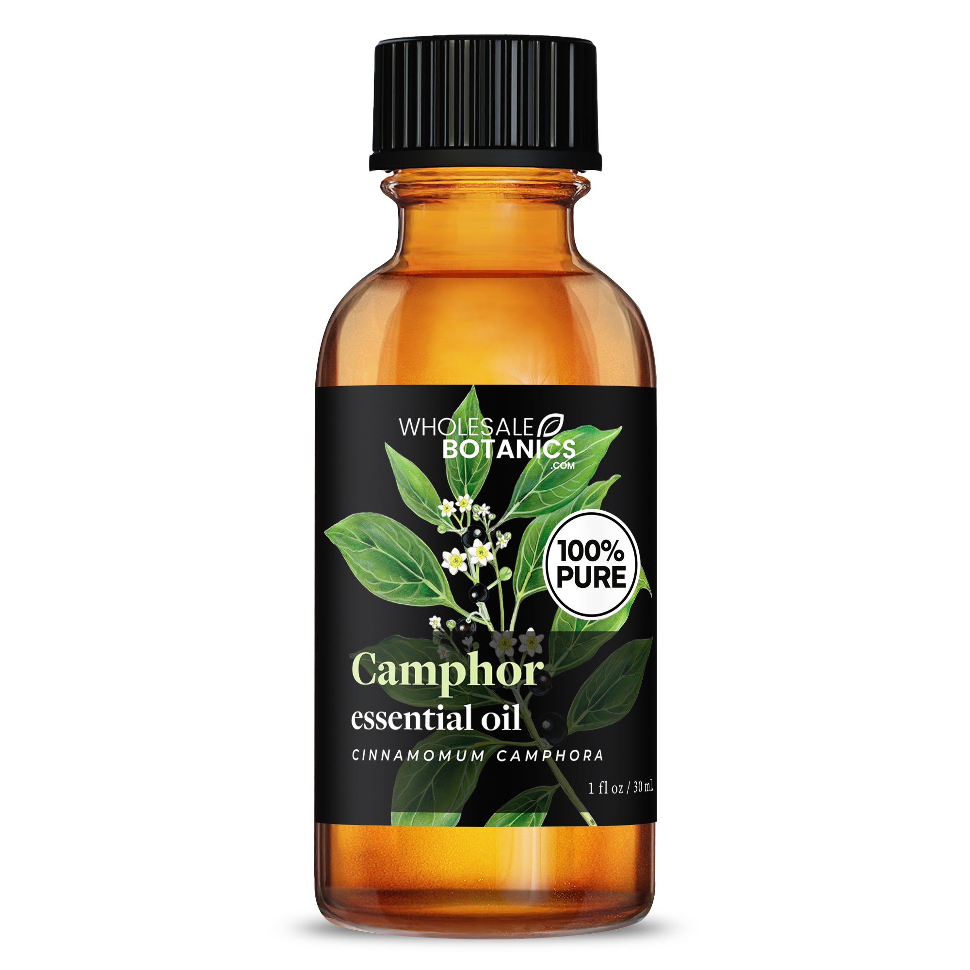 Camphor Essential Oil