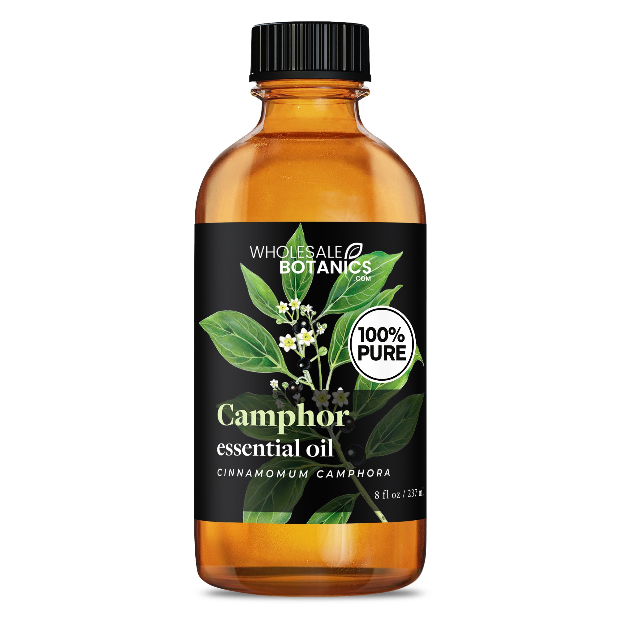Camphor Essential Oil
