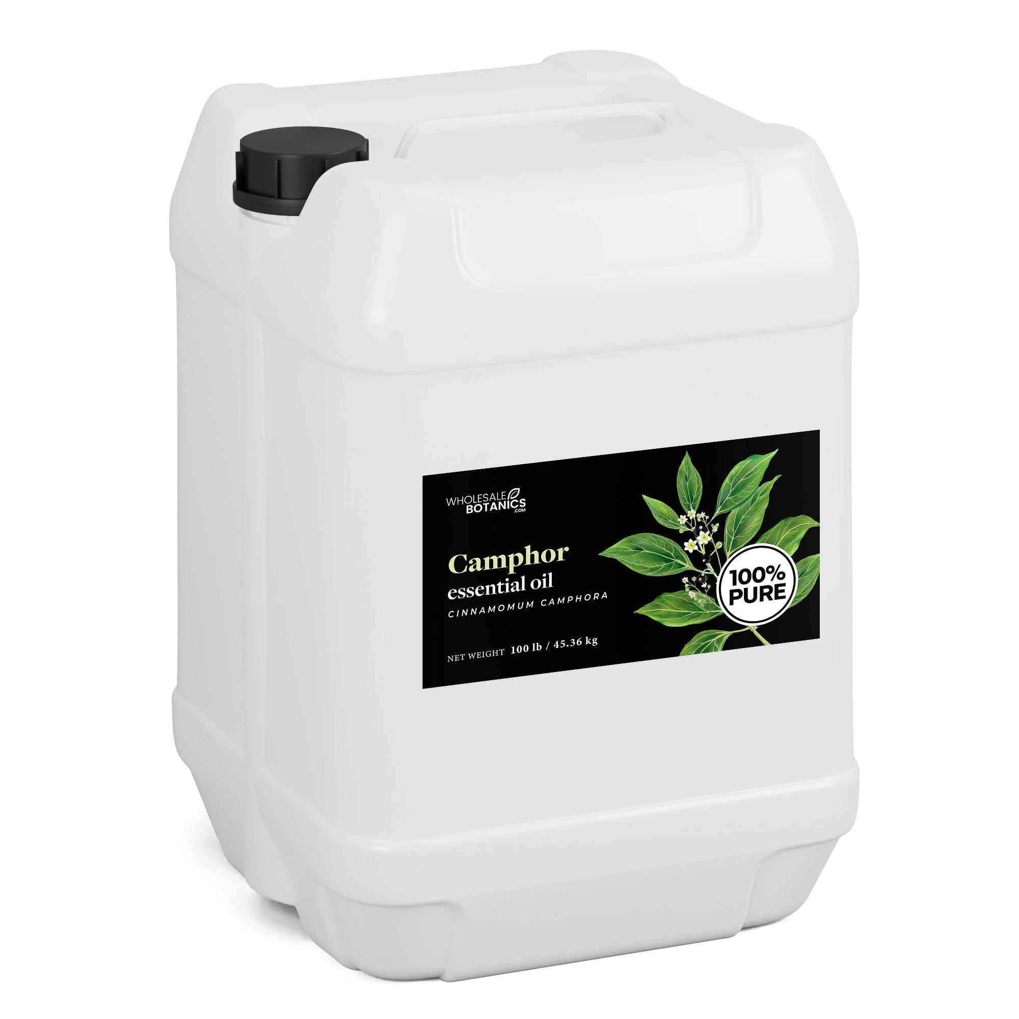 Camphor Essential Oil