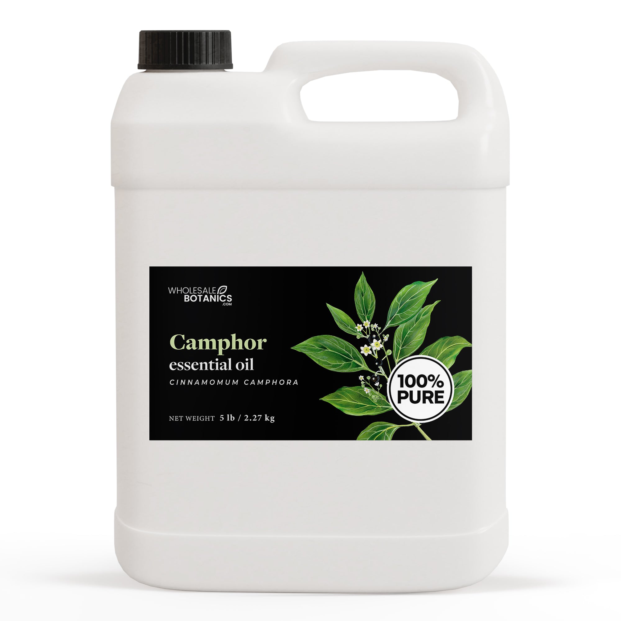 Camphor Essential Oil
