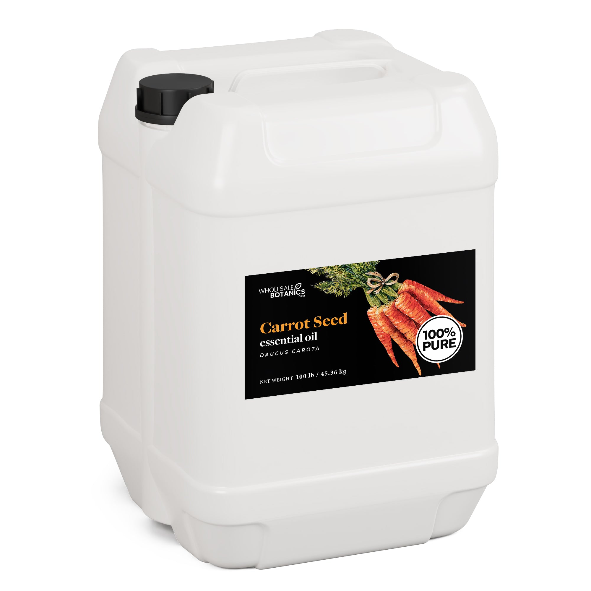Carrot Seed Oil - Essential Oil