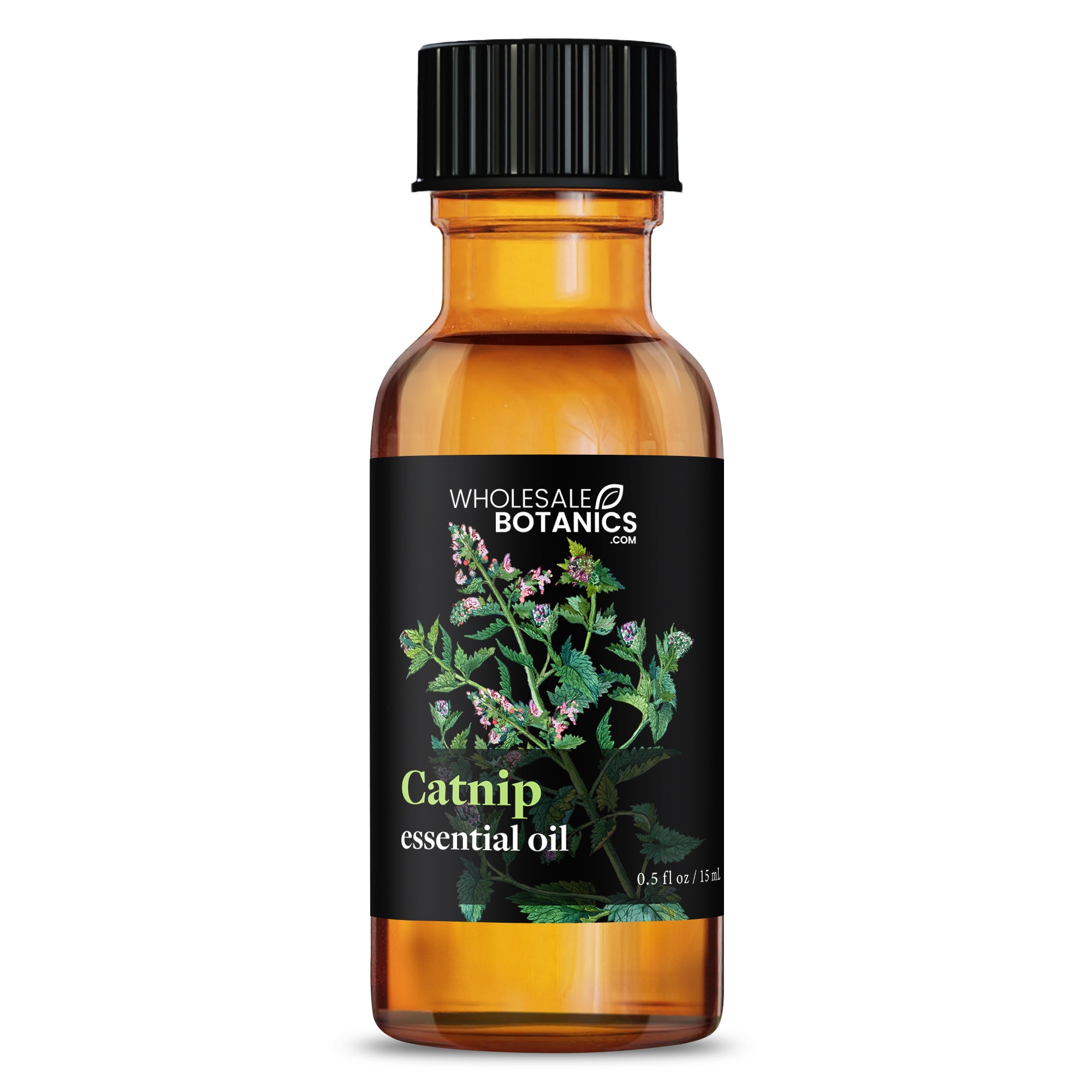Catnip Essential Oil