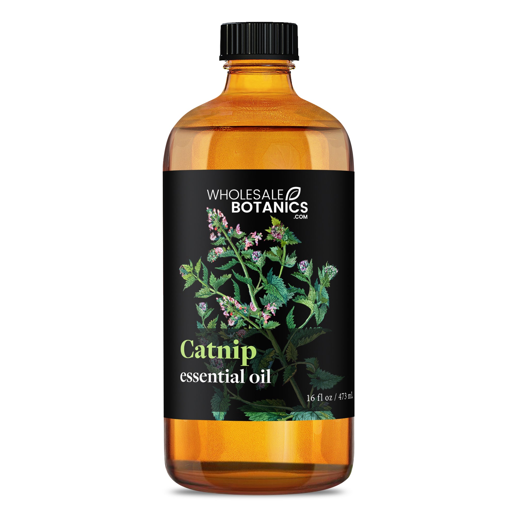 Catnip Essential Oil