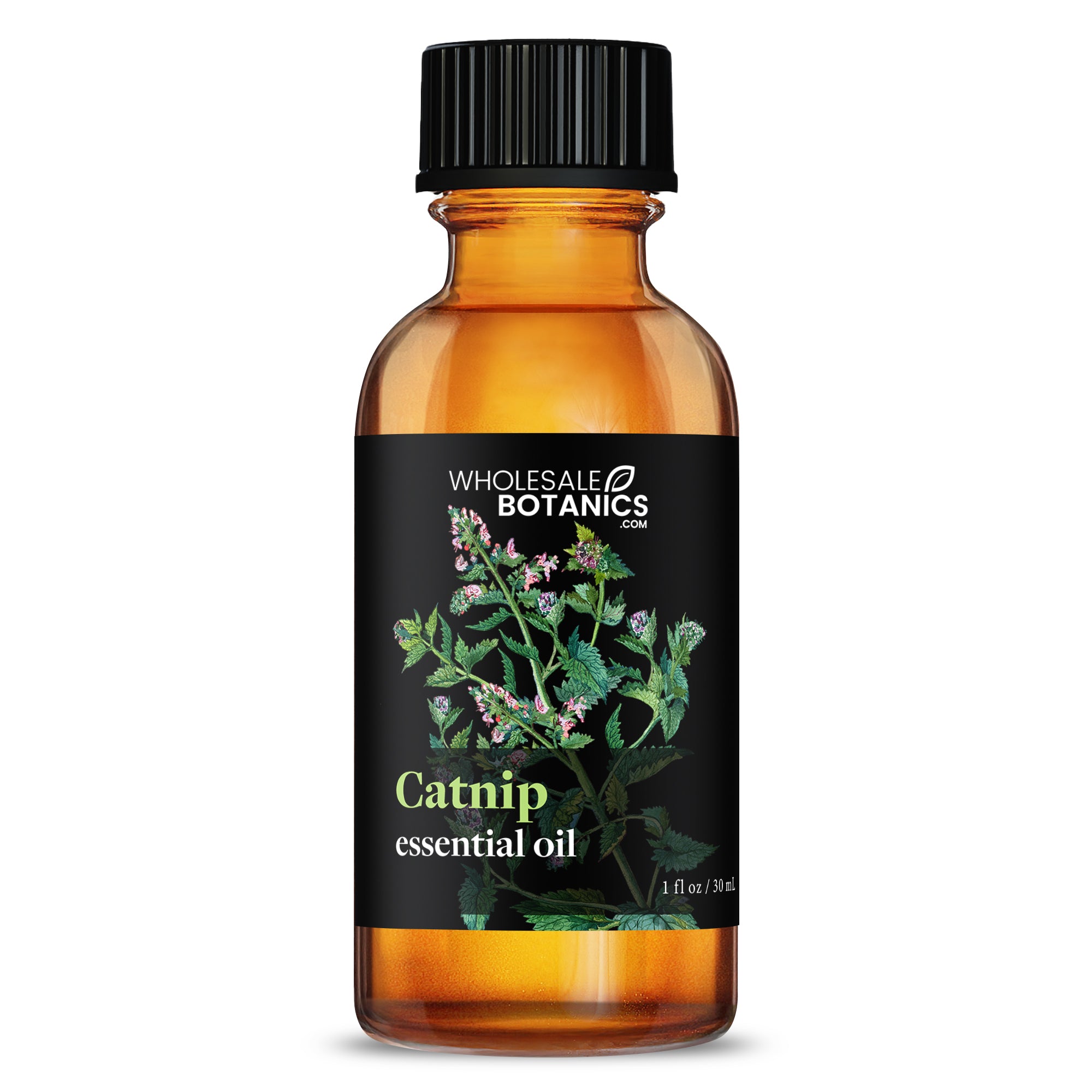 Catnip Essential Oil