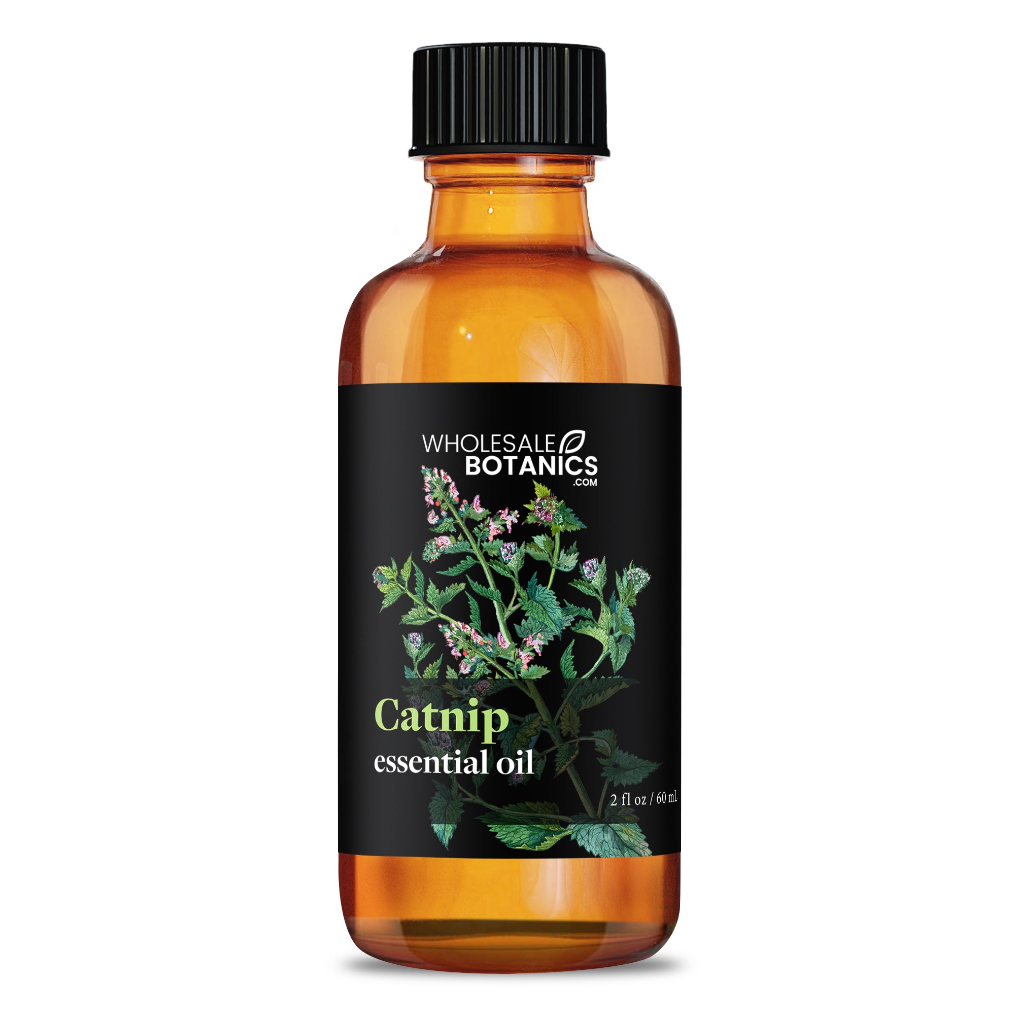 Catnip Essential Oil