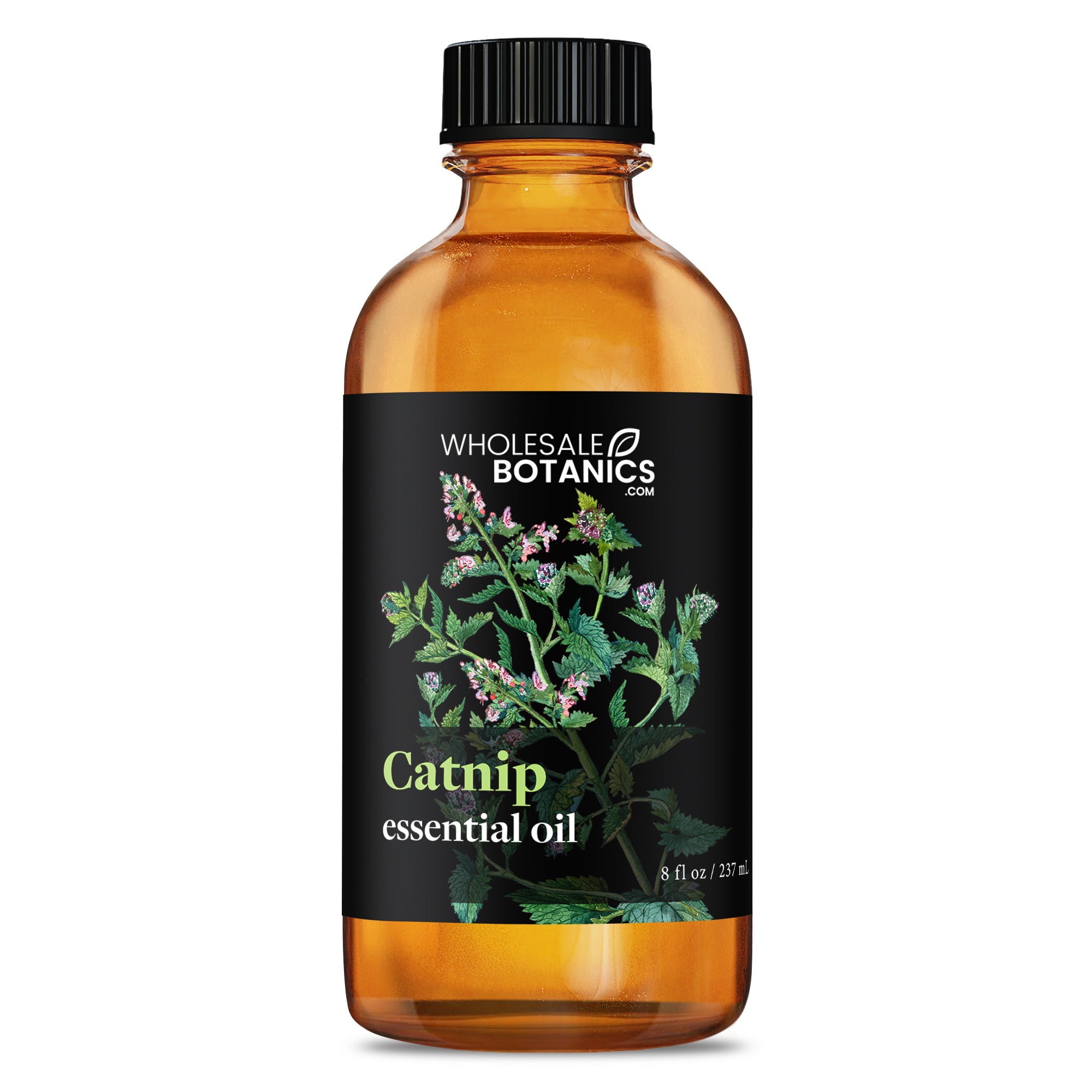 Catnip Essential Oil