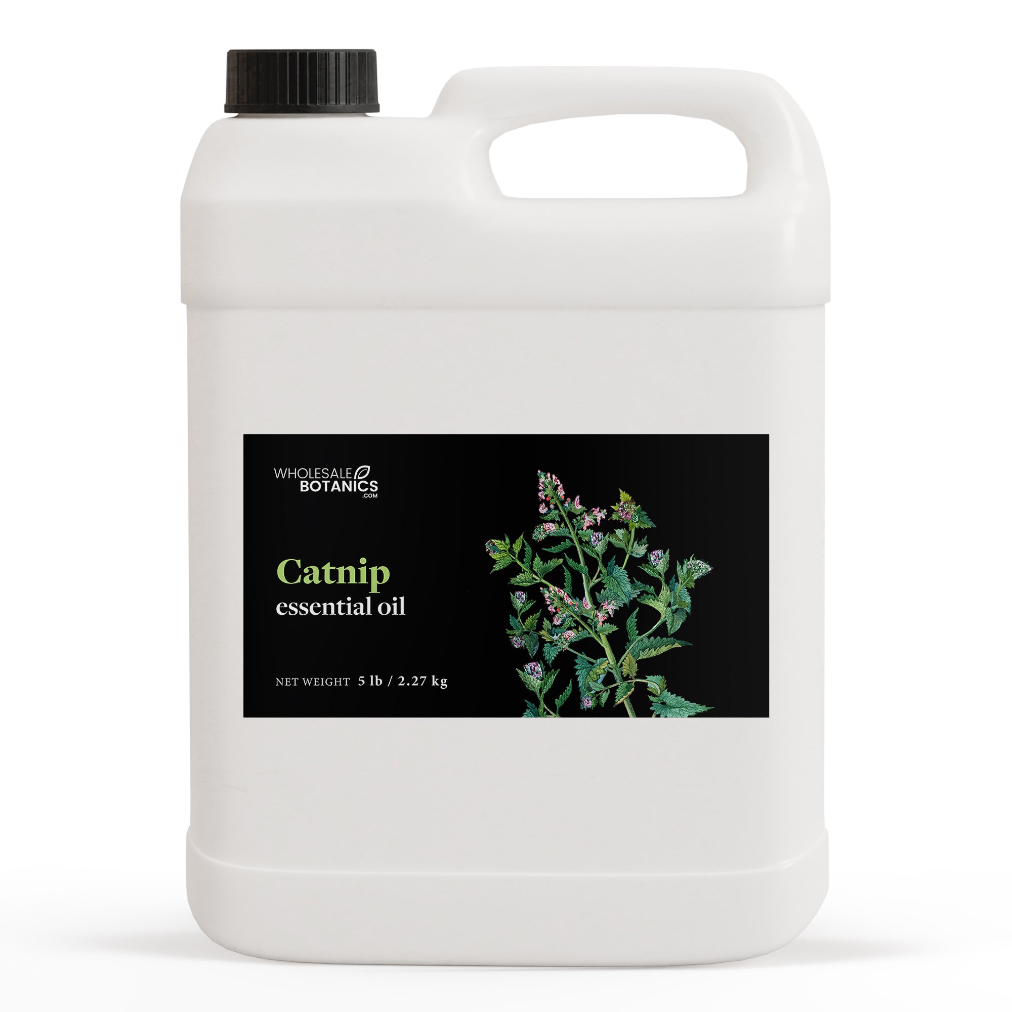 Catnip Essential Oil