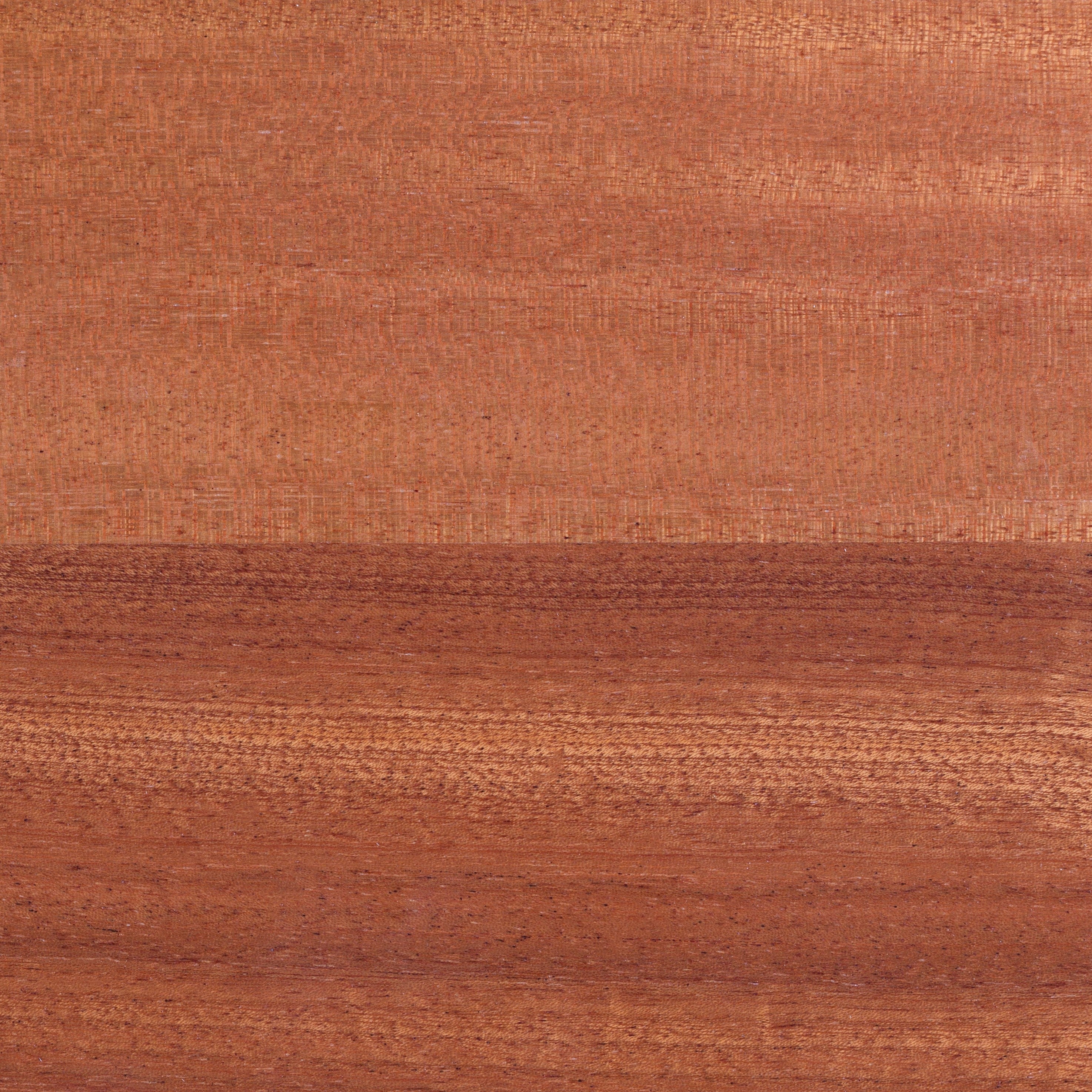 Himalayan Cedarwood, Atlas Cedarwood, Virginian Cedarwood, Texas Cedarwood