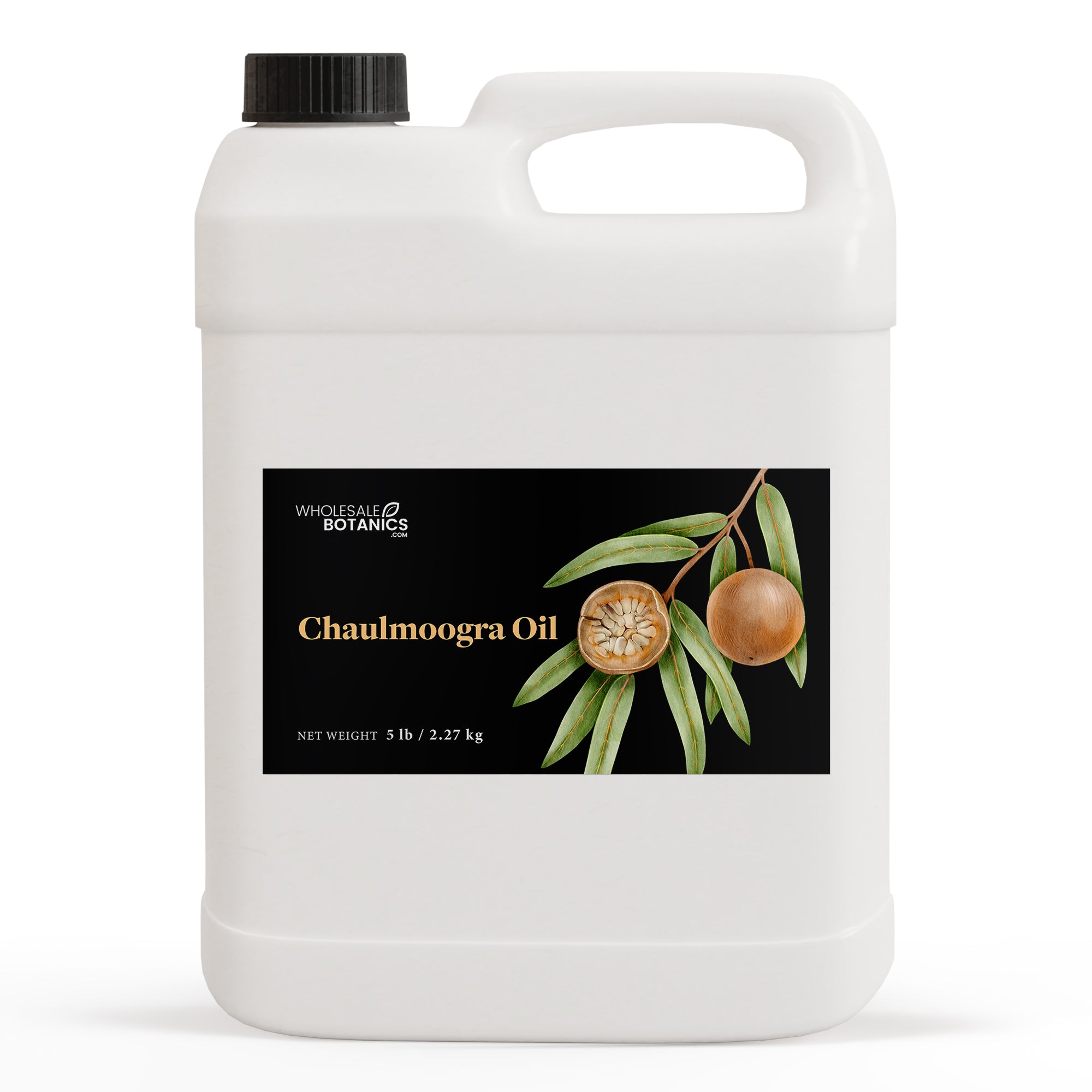 Chaulmoogra Oil