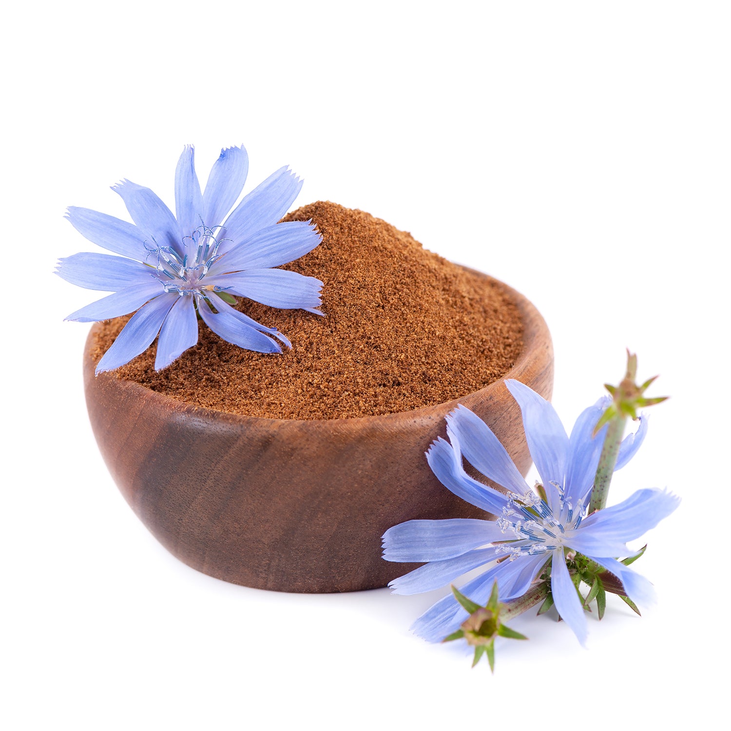 Chicory Root Powder