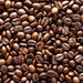 Coffee Essential Oil - Botanical, Pure