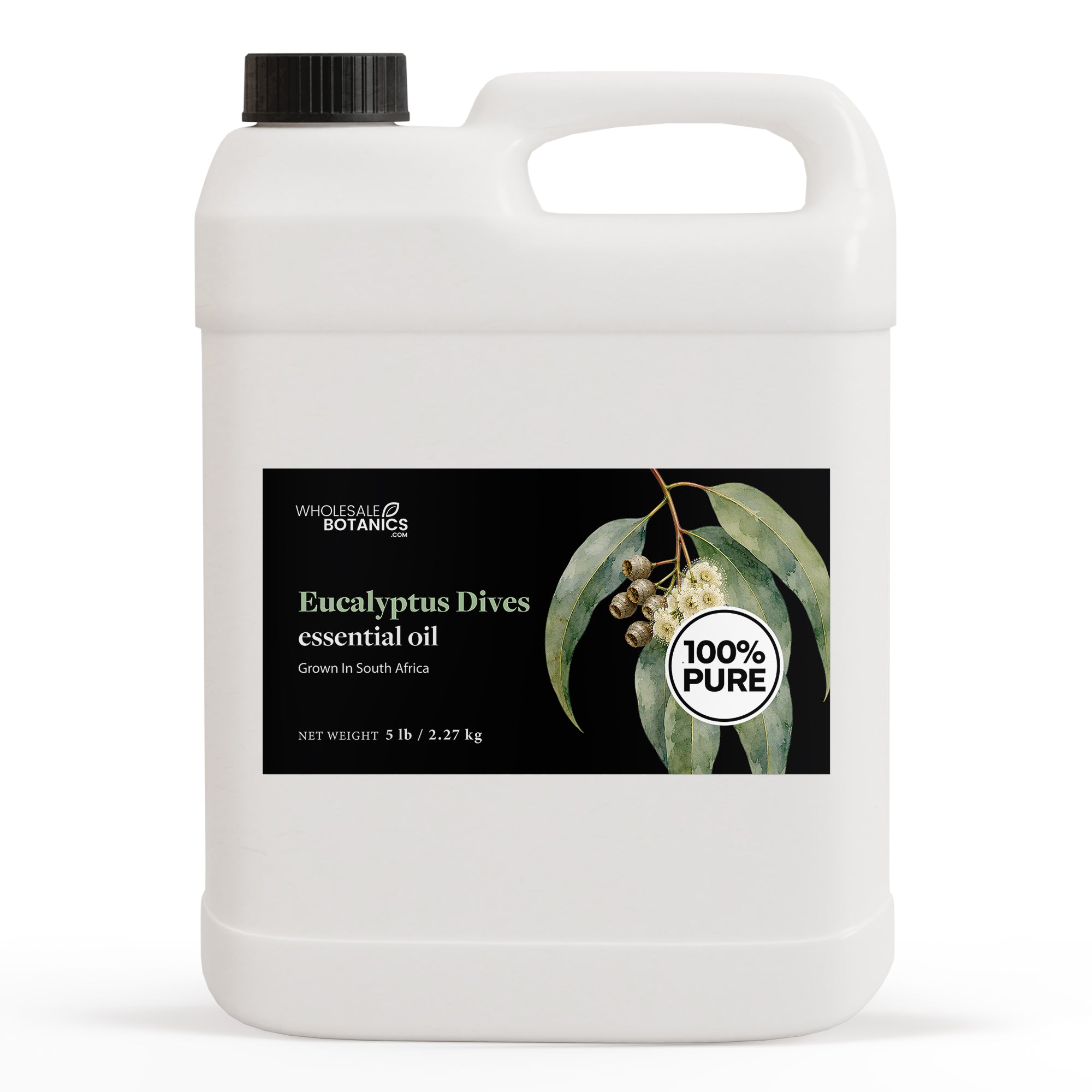 Bulk Eucalyptus Oil - Eucalyptus Dives