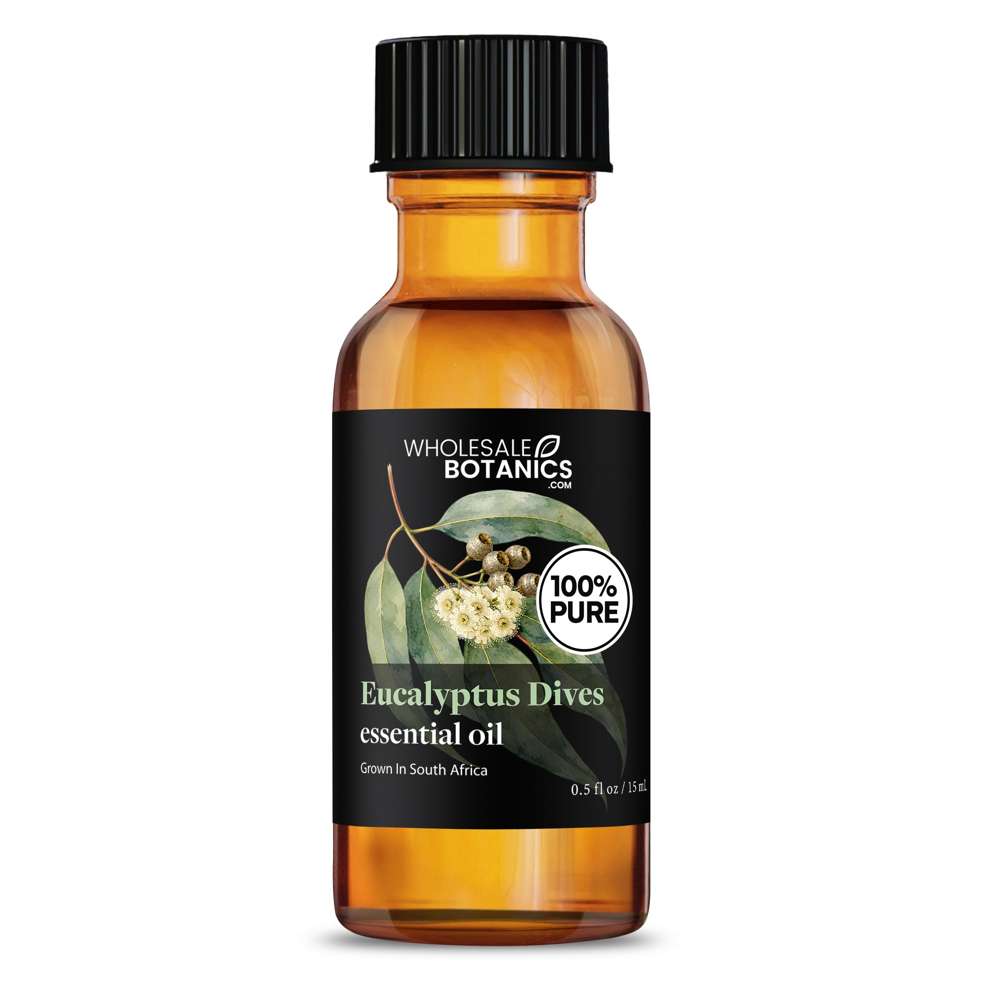Eucalyptus Essential Oil - Eucalyptus Dives