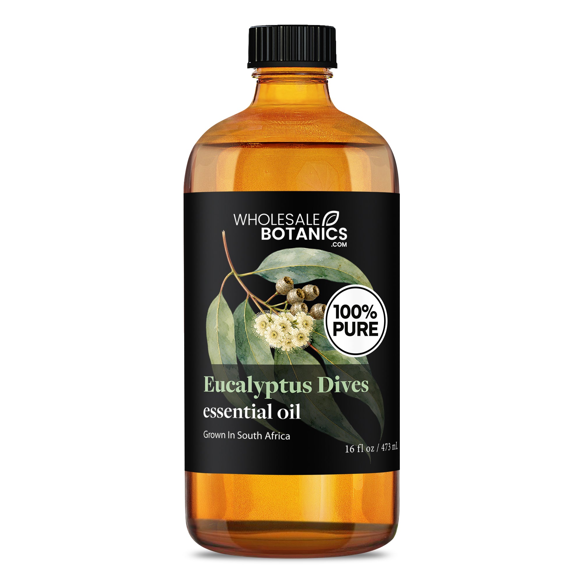 Eucalyptus Essential Oil - Eucalyptus Dives