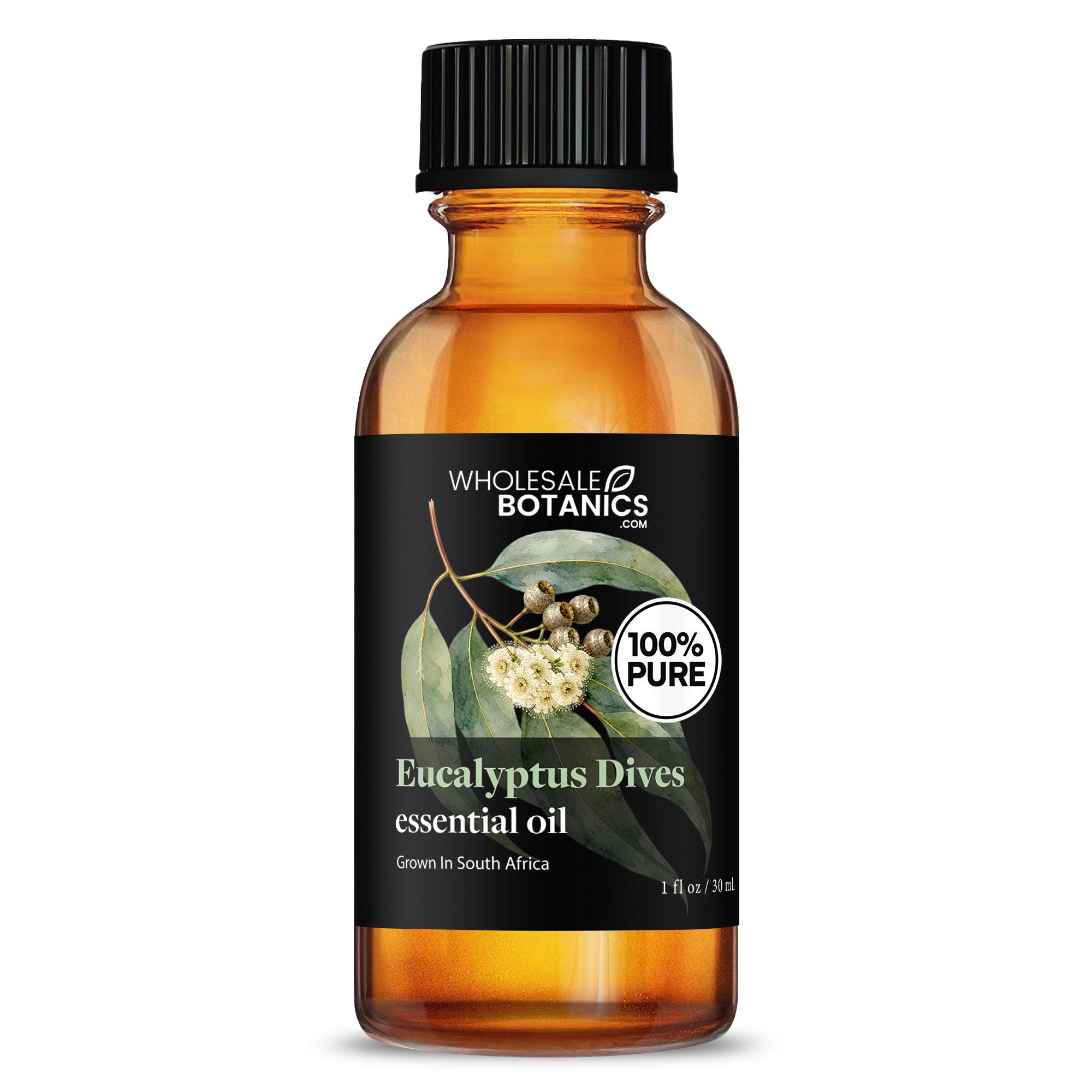 Eucalyptus Essential Oil - Eucalyptus Dives