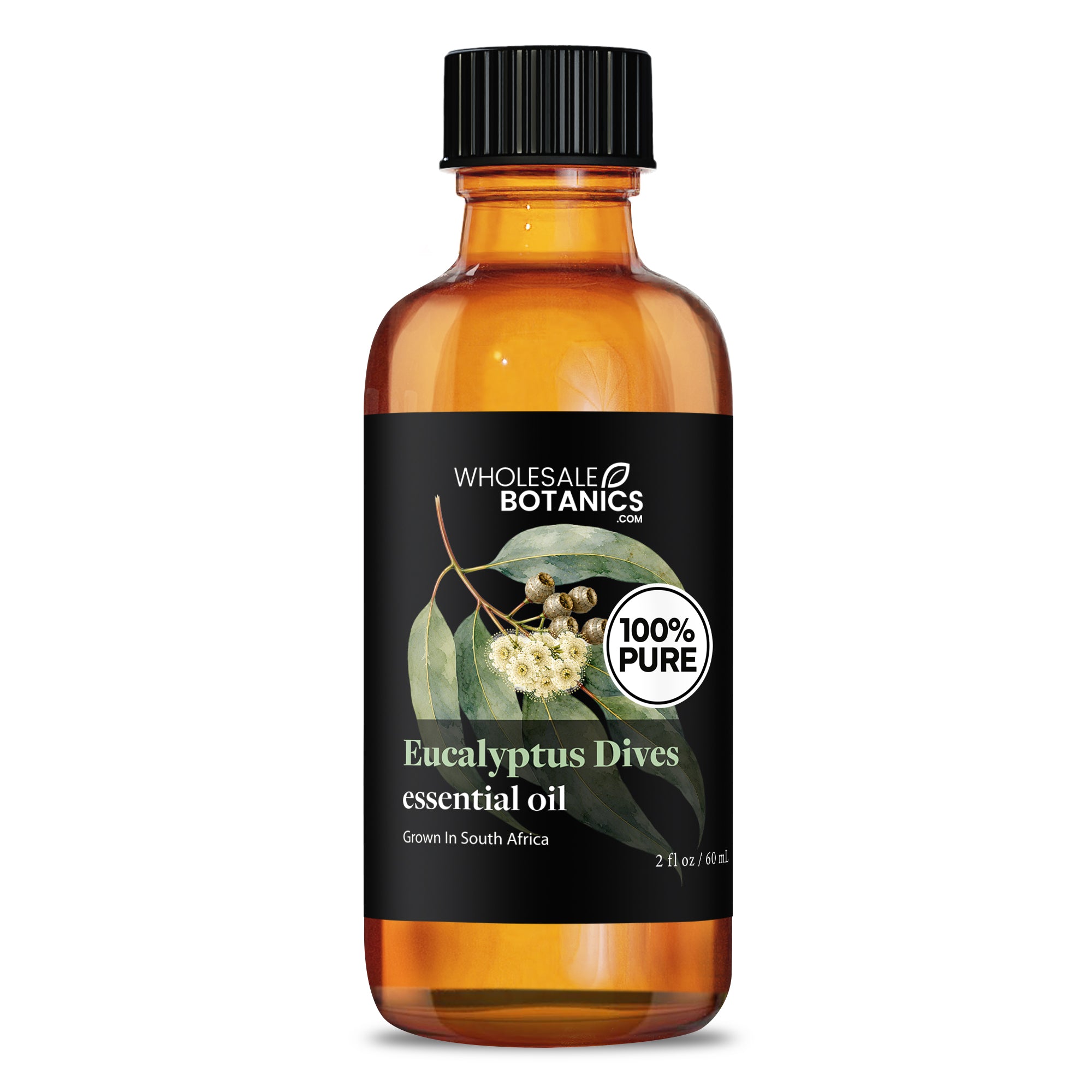 Eucalyptus Essential Oil - Eucalyptus Dives