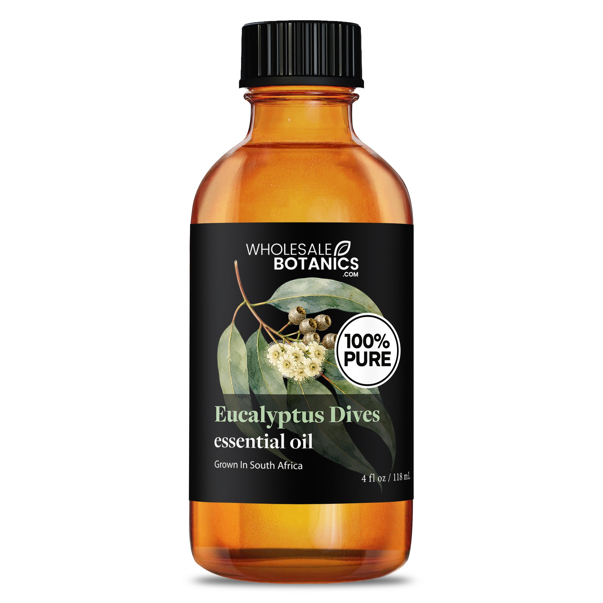 Eucalyptus Essential Oil - Eucalyptus Dives
