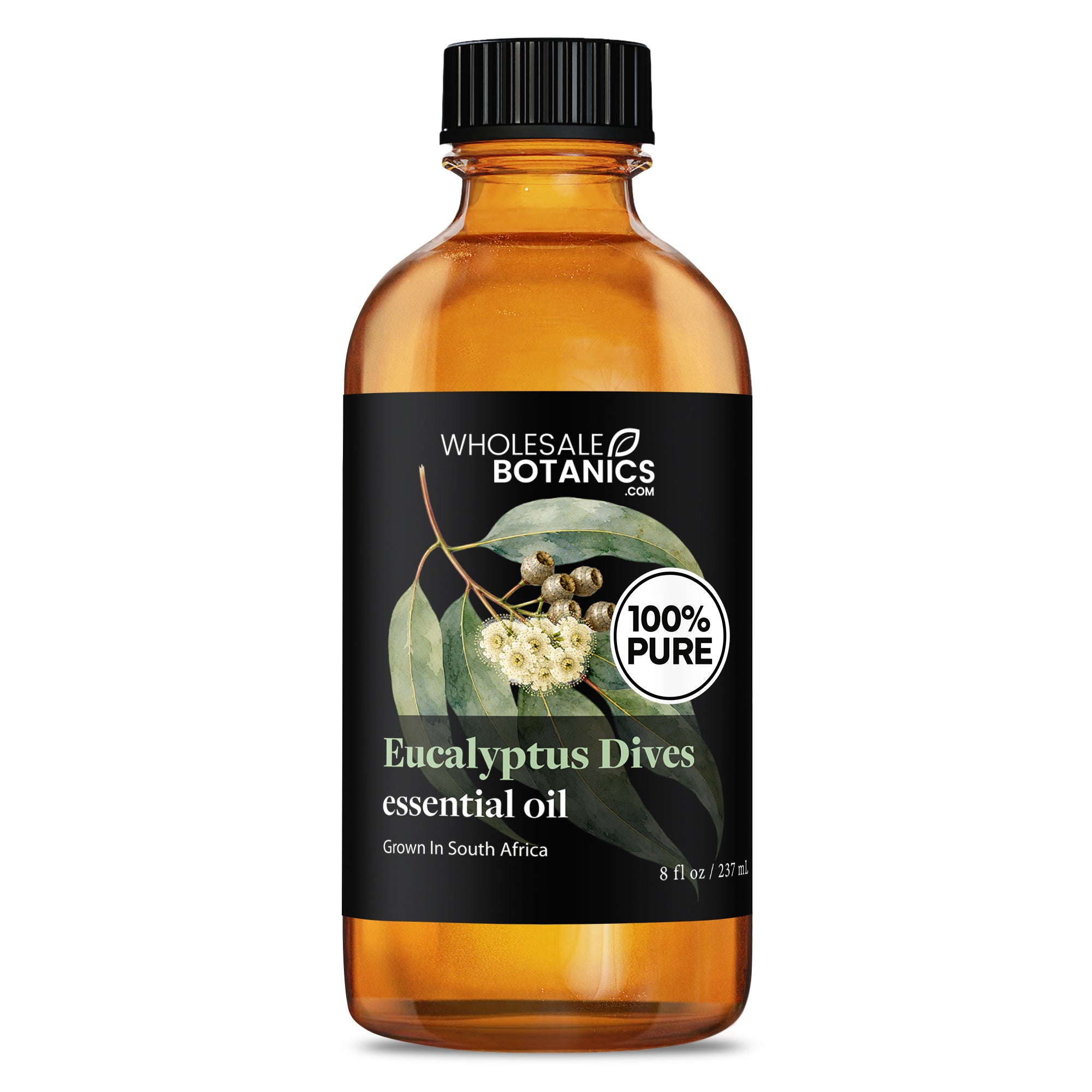 Eucalyptus Essential Oil - Eucalyptus Dives