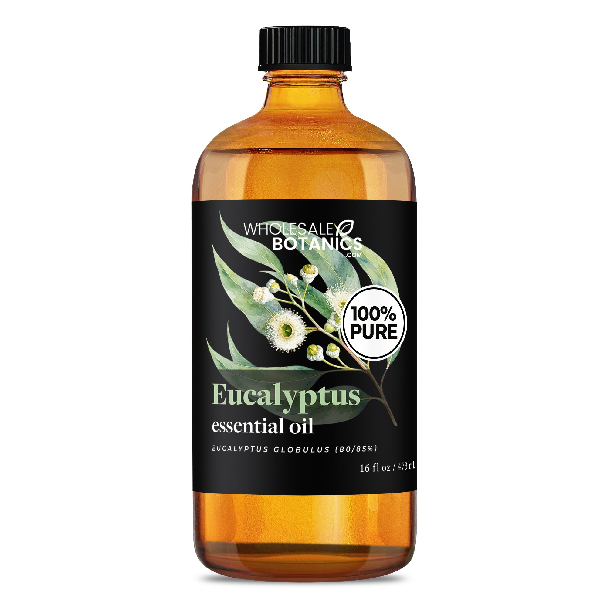 Eucalyptus Essential Oil - Eucalyptus Globulus (80/85%)